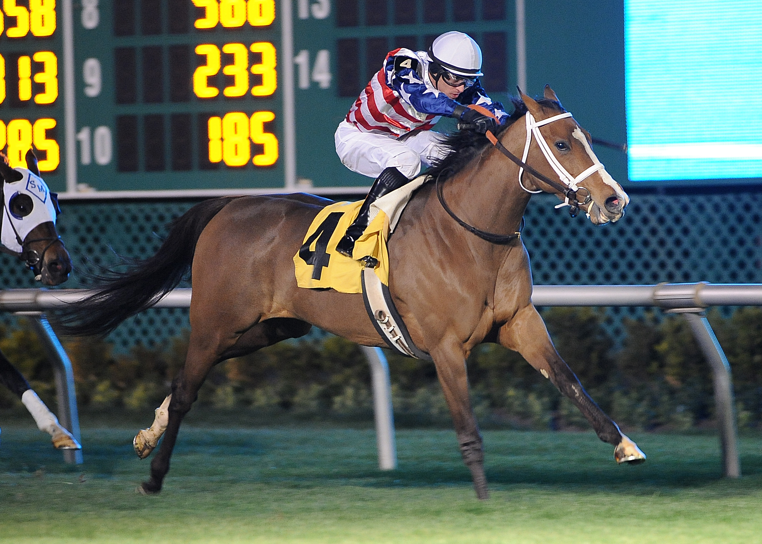 Ice Mist wins Jersey Lilly