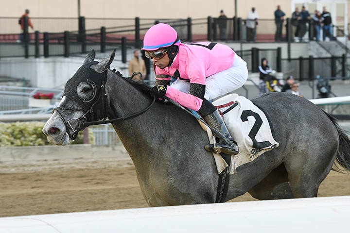 Ice Princess wins the 2020 Maddie May Stakes at Aqueduct Racetrack