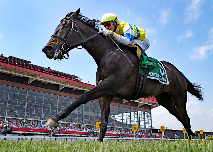 Ickymasho wins the 2019 Searching Stakes