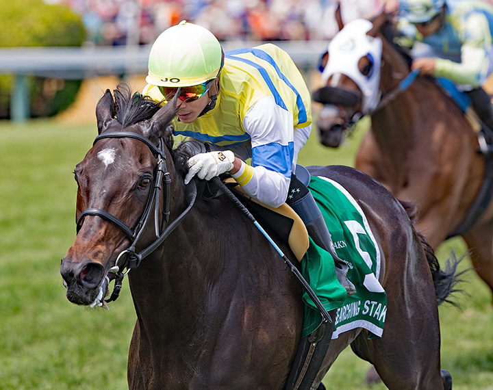 Ickymasho wins the 2019 Searching Stakes