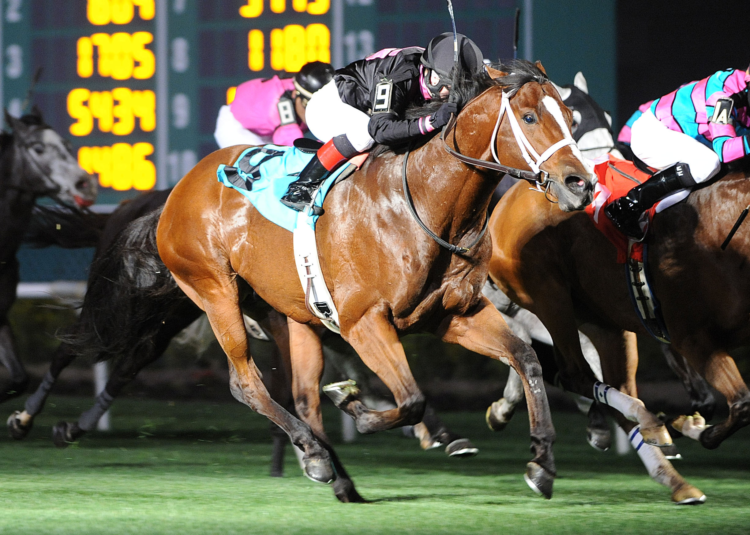 Icon Ike, Champion Energy Services Stakes at Sam Houston