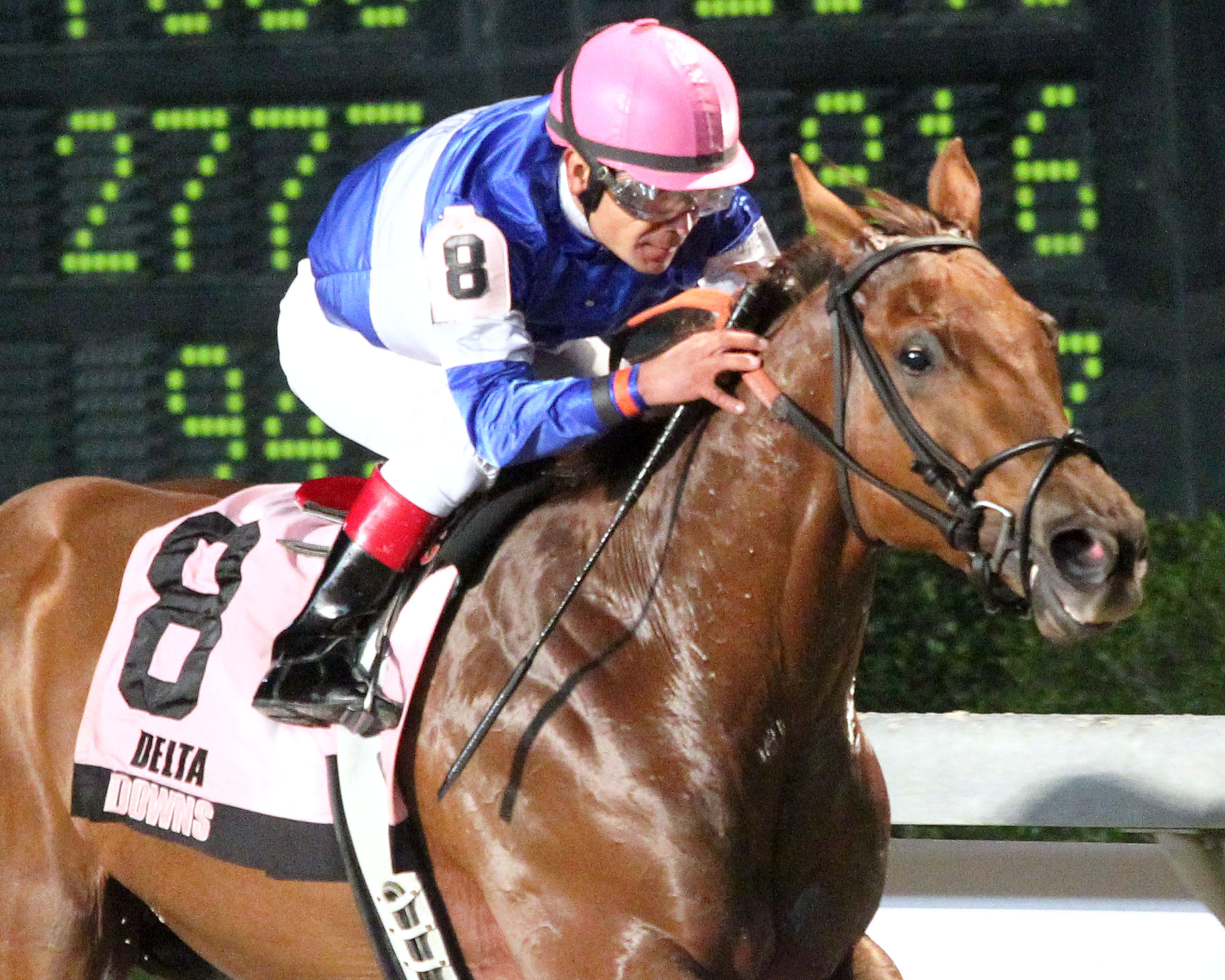 Icy Gentleman wins the Pelican Stakes