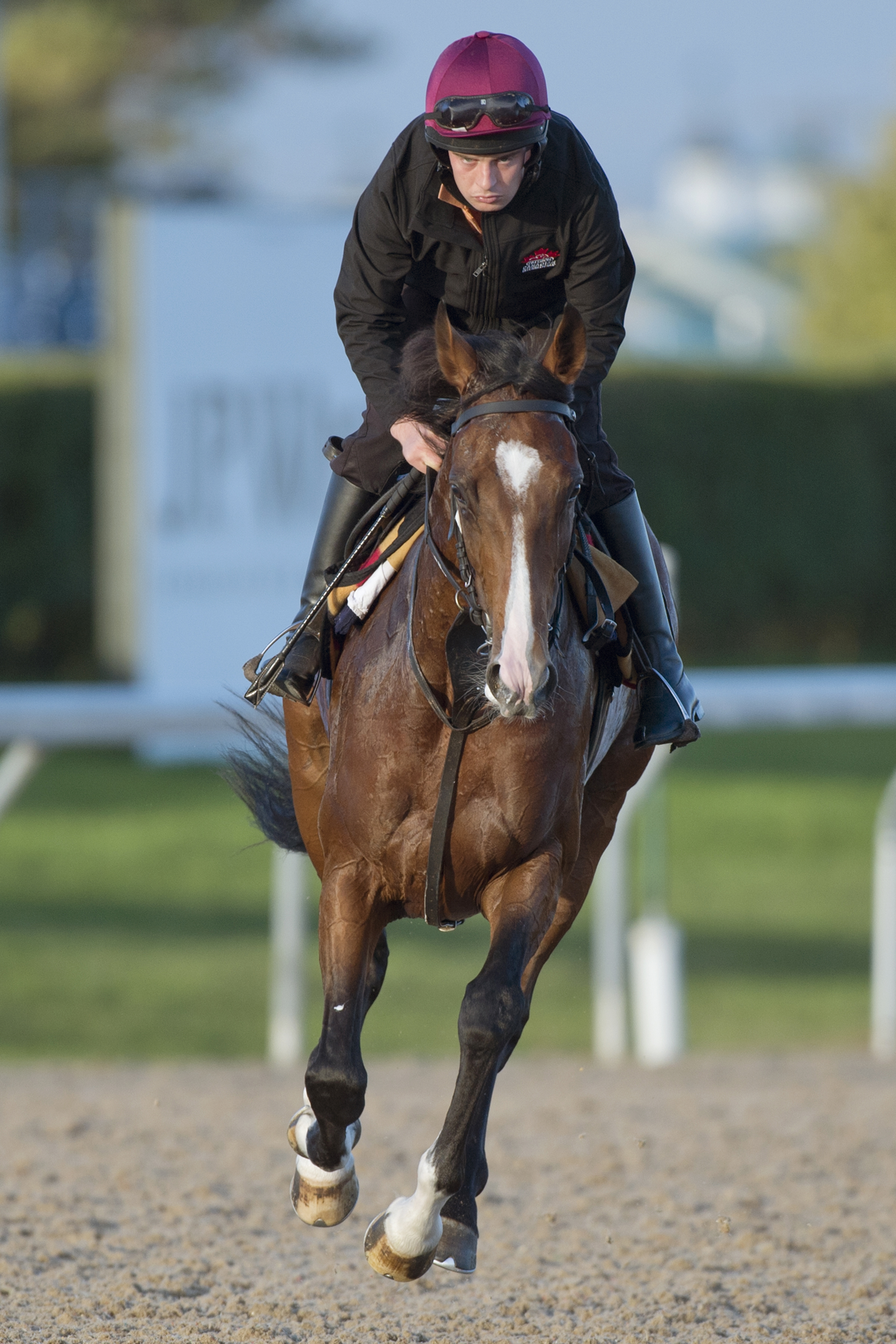 Idaho at Woodbine on Oct. 13