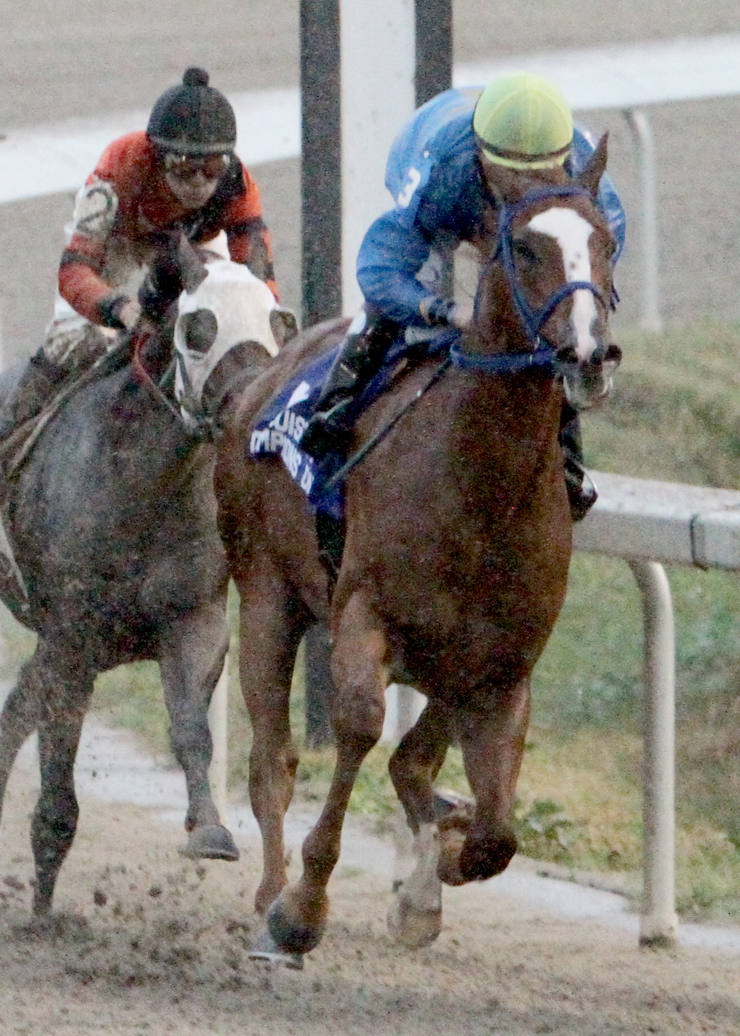 Ide Be Cool, Champions Day Juvenile