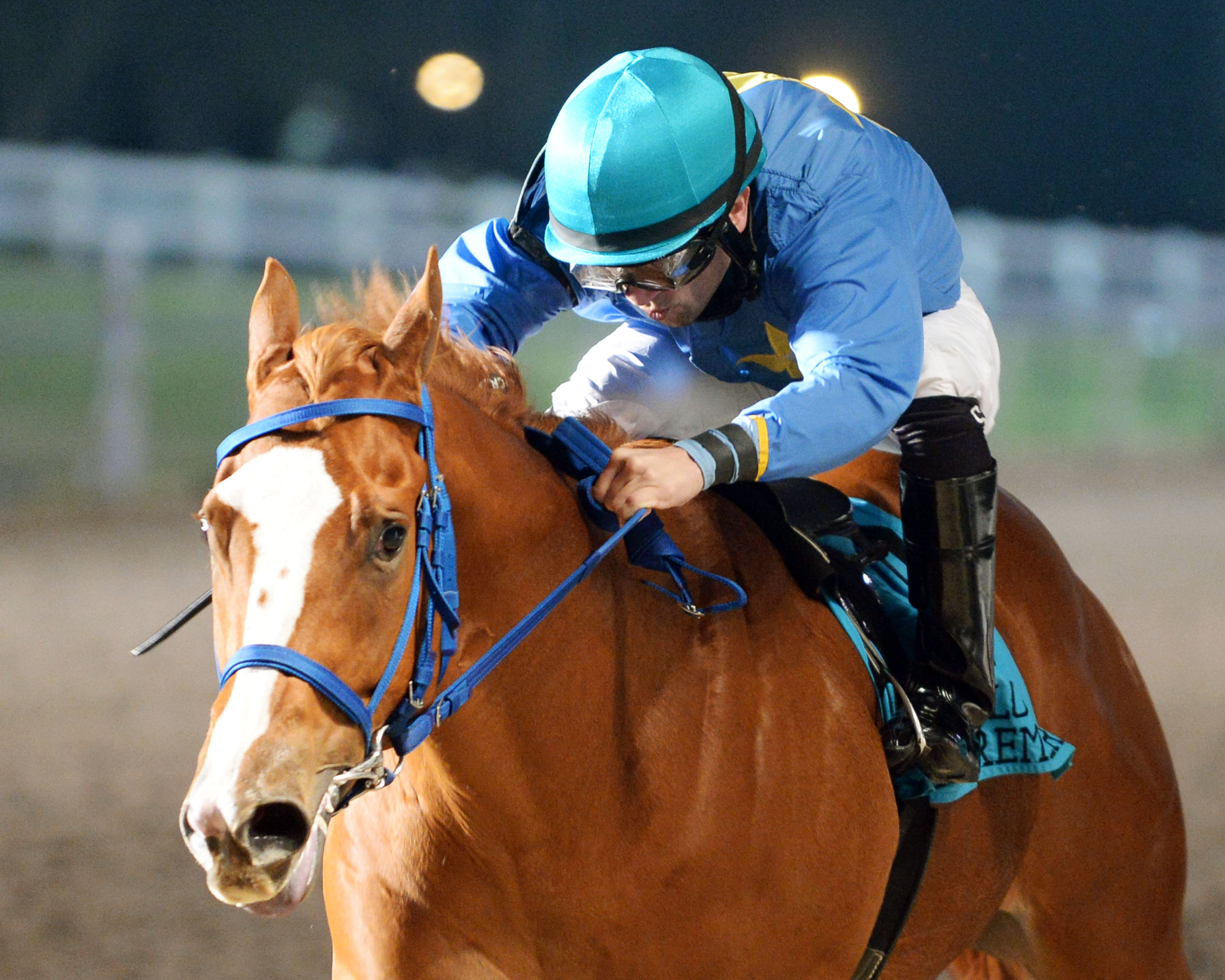 Ide Be Cool wins the Louisiana-bred Premier Night Prince