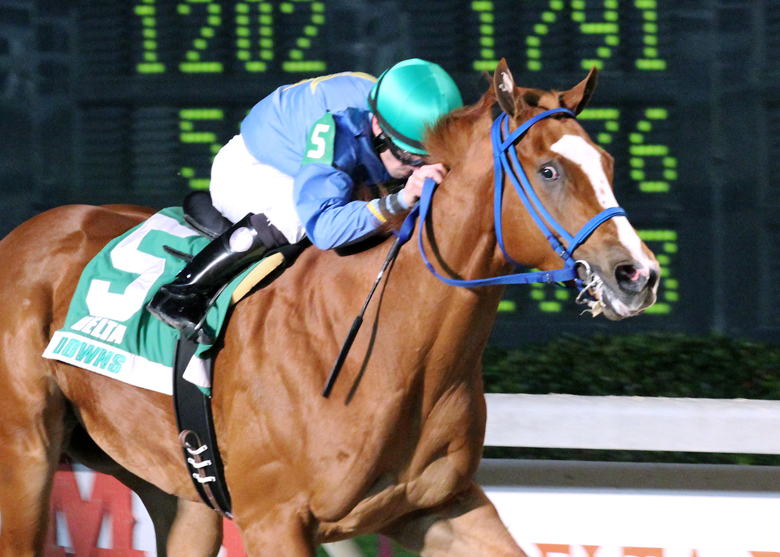 Ide Be Cool wins the Pelican Stakes