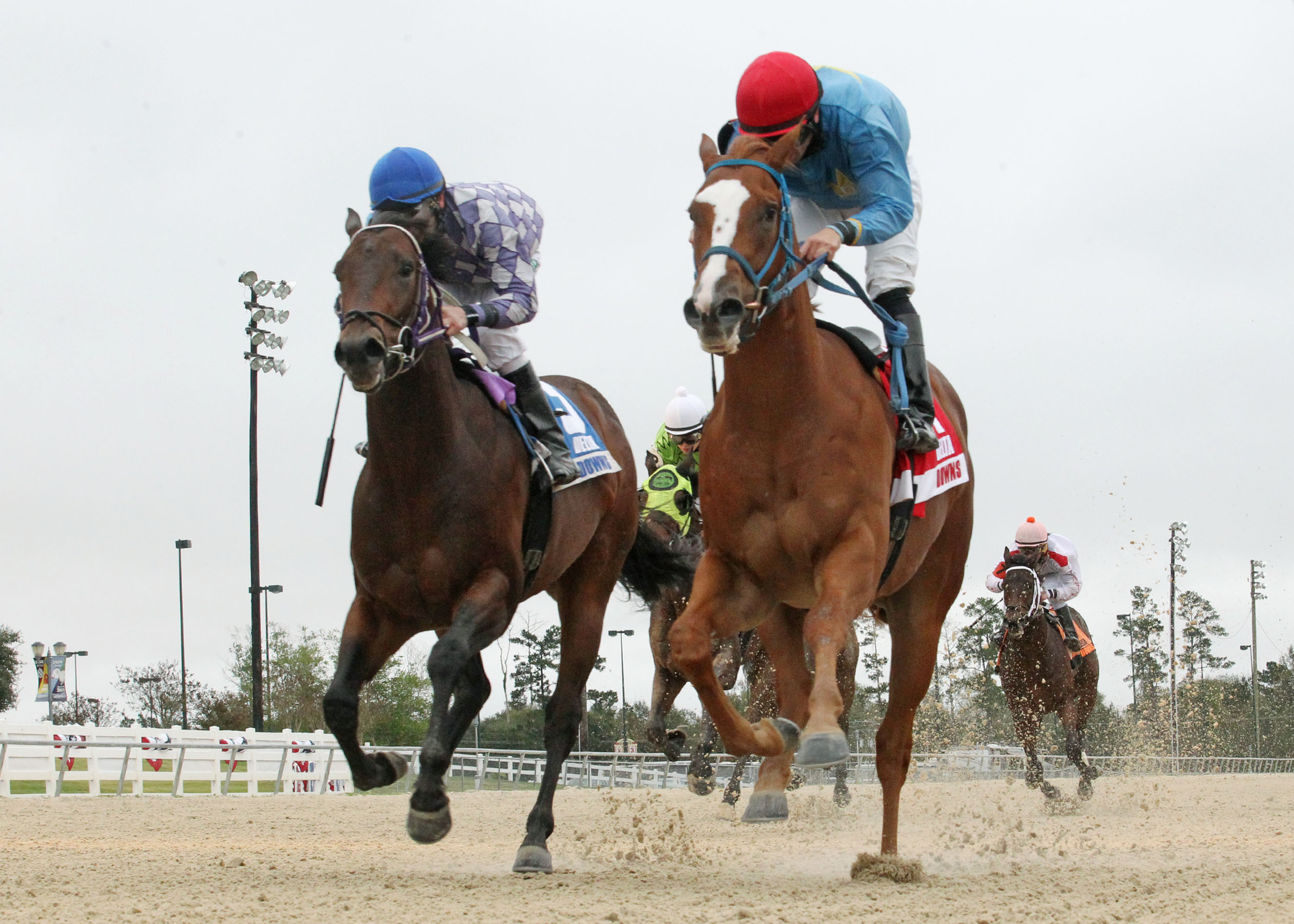 Mypalcharliebrown and Ide Be Cool in the Louisiana Legacy