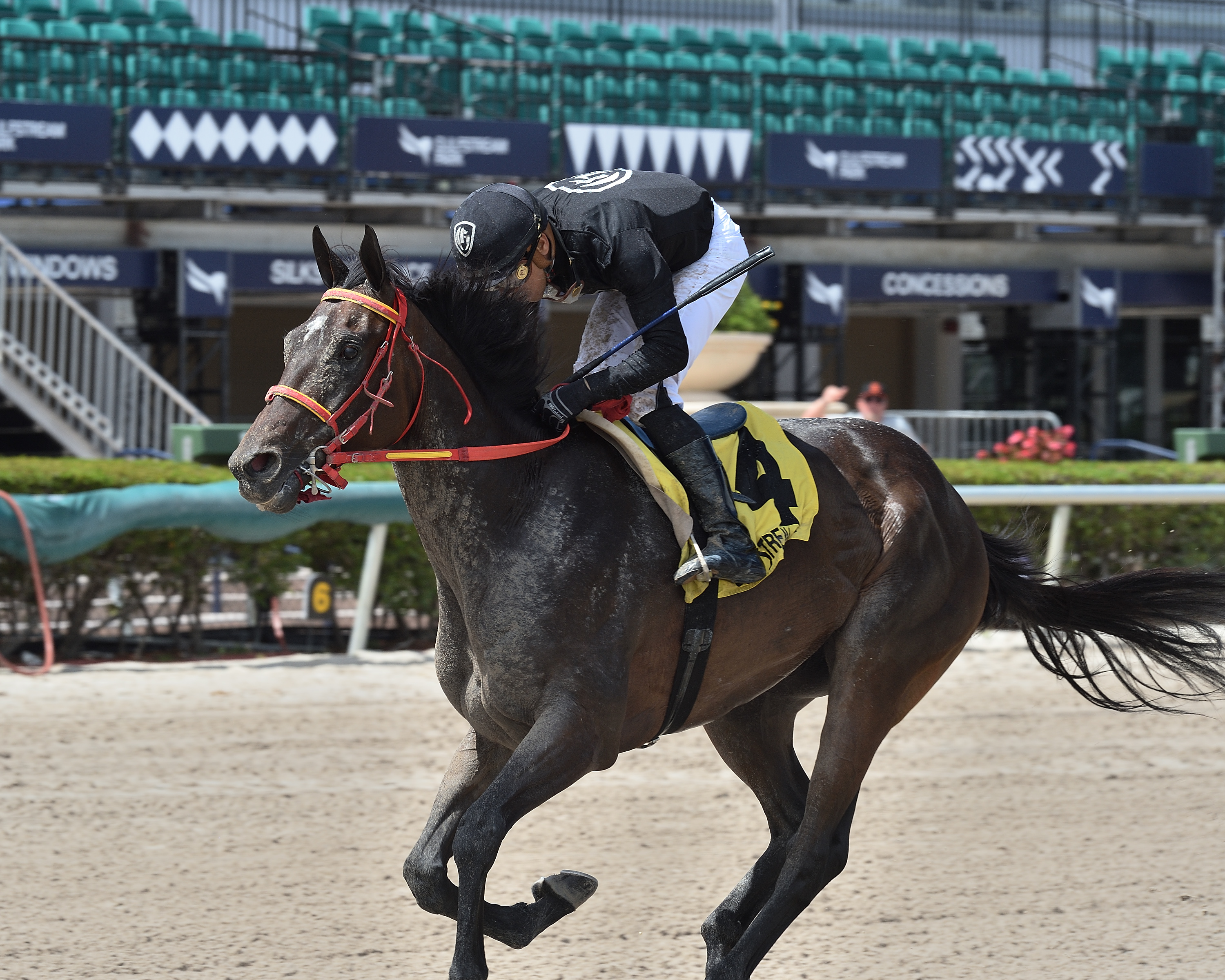 Identifier wins the 2020 Hal-s Hope Stakes