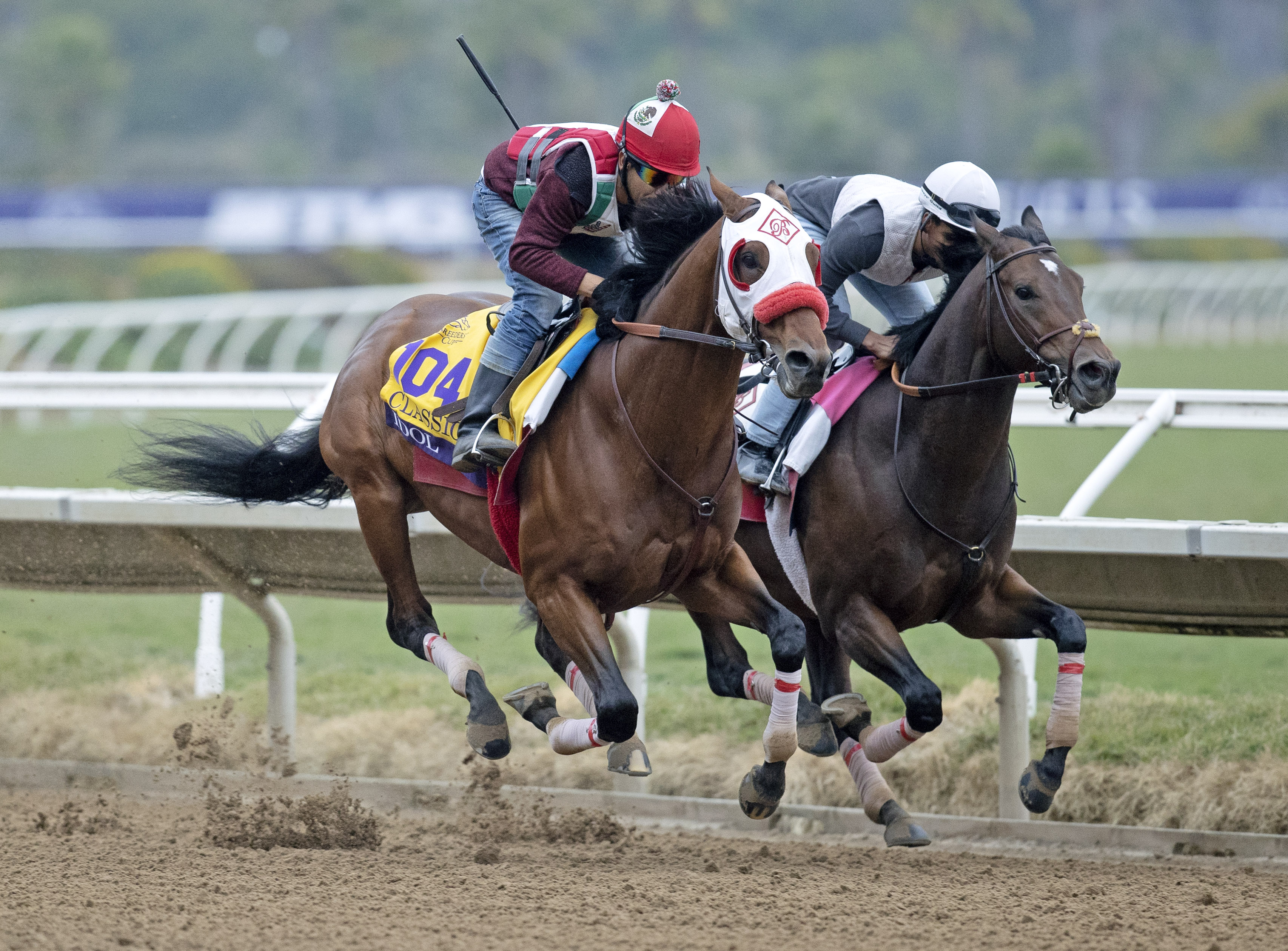 Idol (left) out of BC Classic 10-31-2021