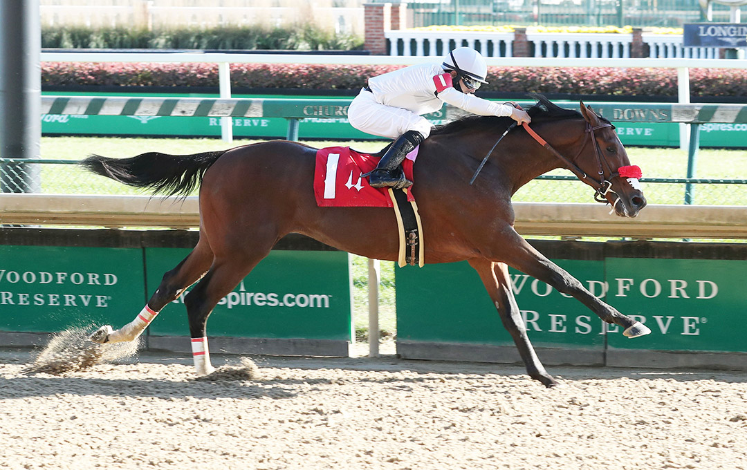 Idol wins a Nov. 8 allowance at Churchill