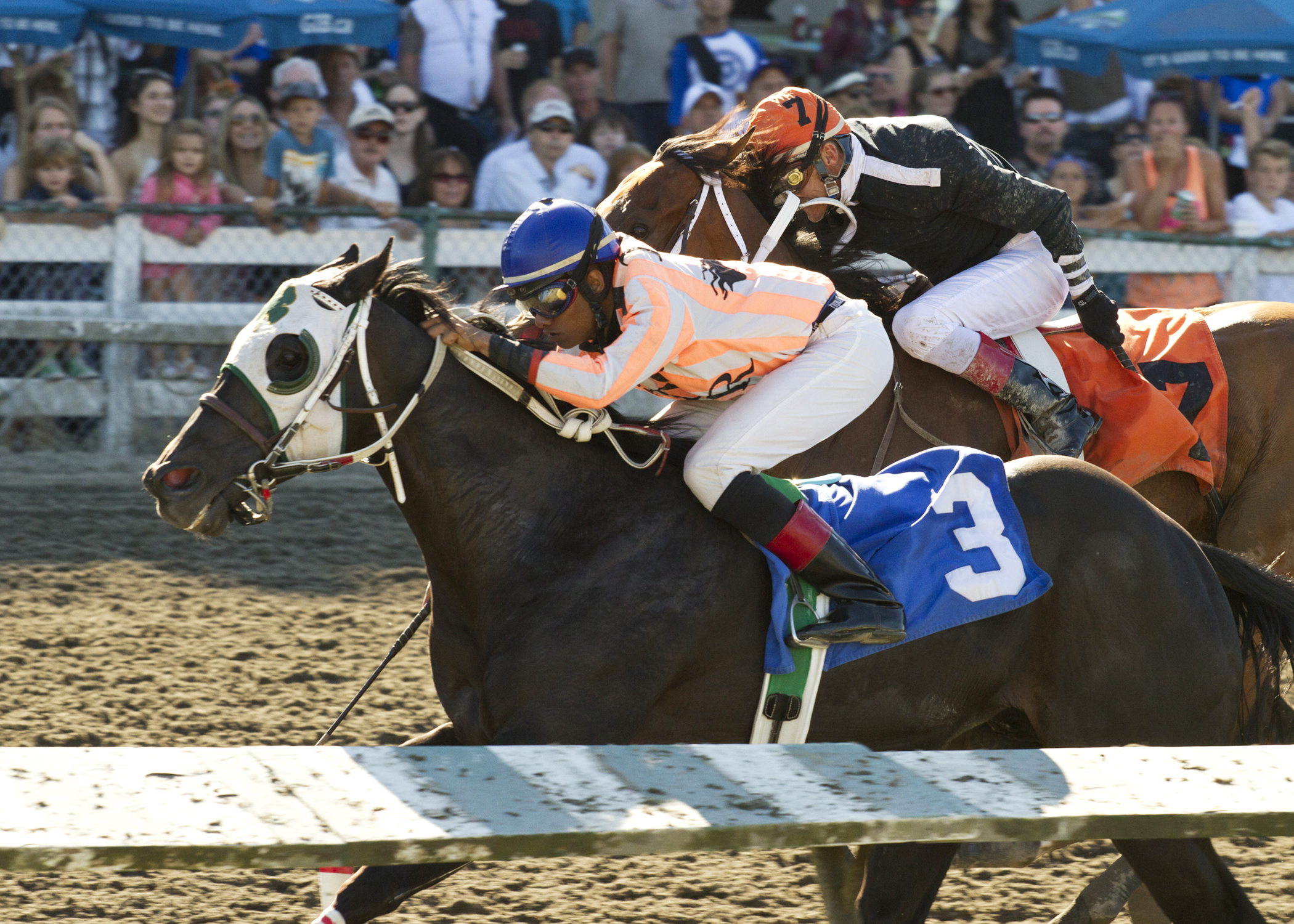 Idontrollonshabbos wins the Champions Starters Series Final Stakes