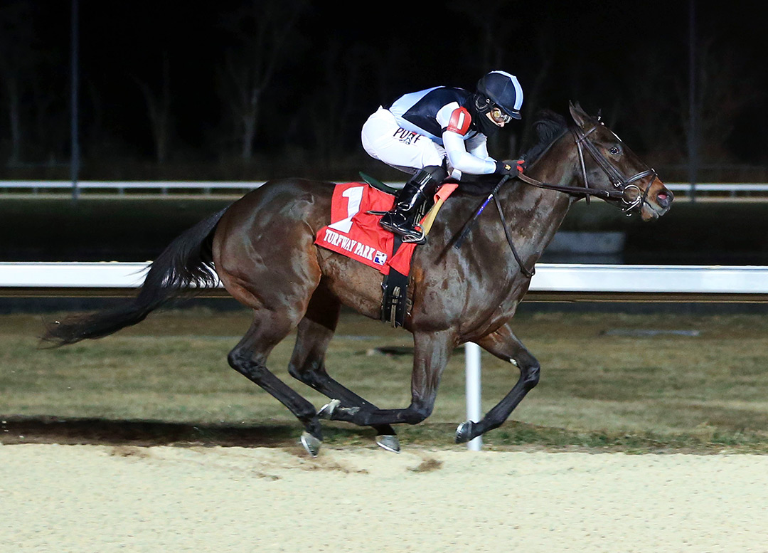 Igloo wins a Dec. 26 maiden race at Turfway Park