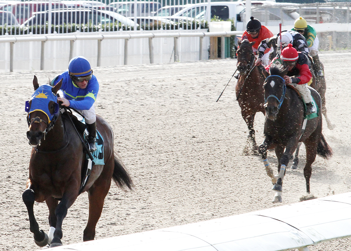 Ike Walker wins the 2015 South Mississippi Owners / Breeders Stakes