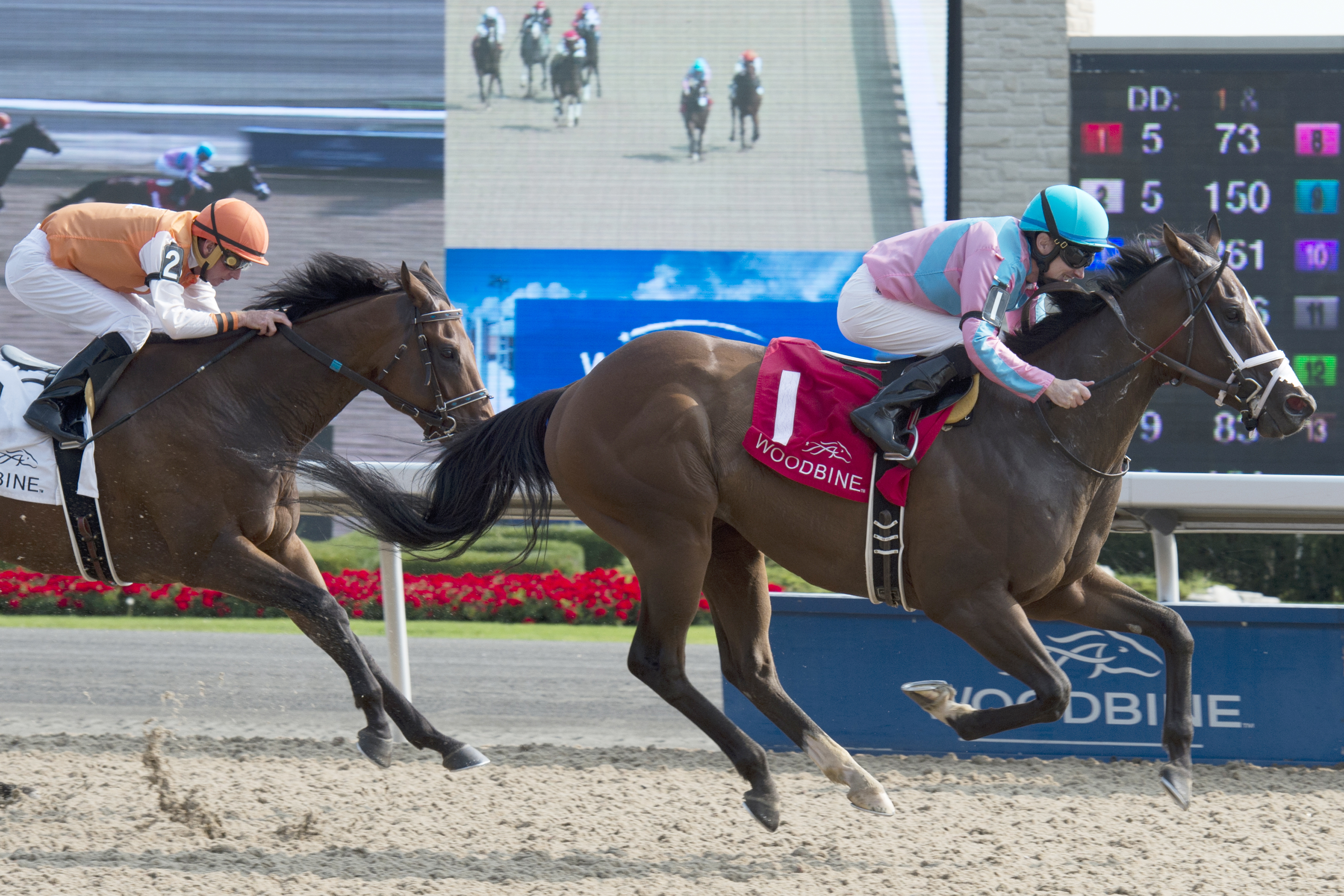 Ikerrin Road wins the 2017 Bold Venture Stakes