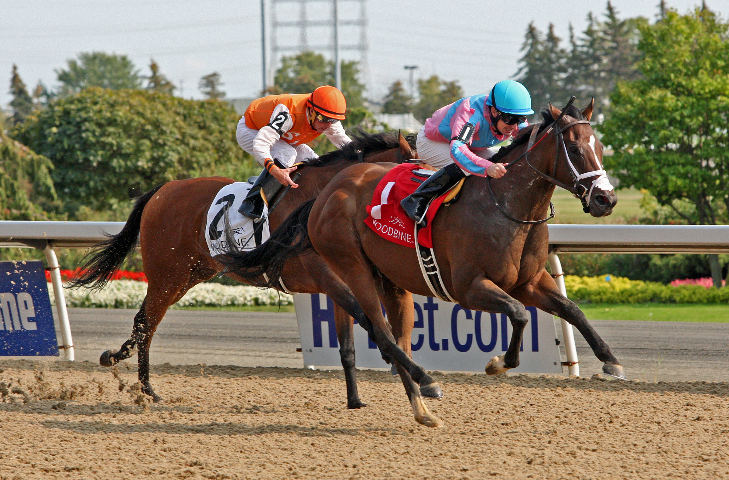 Ikerrin Road wins the 2017 Bold Venture Stakes at Woodbine