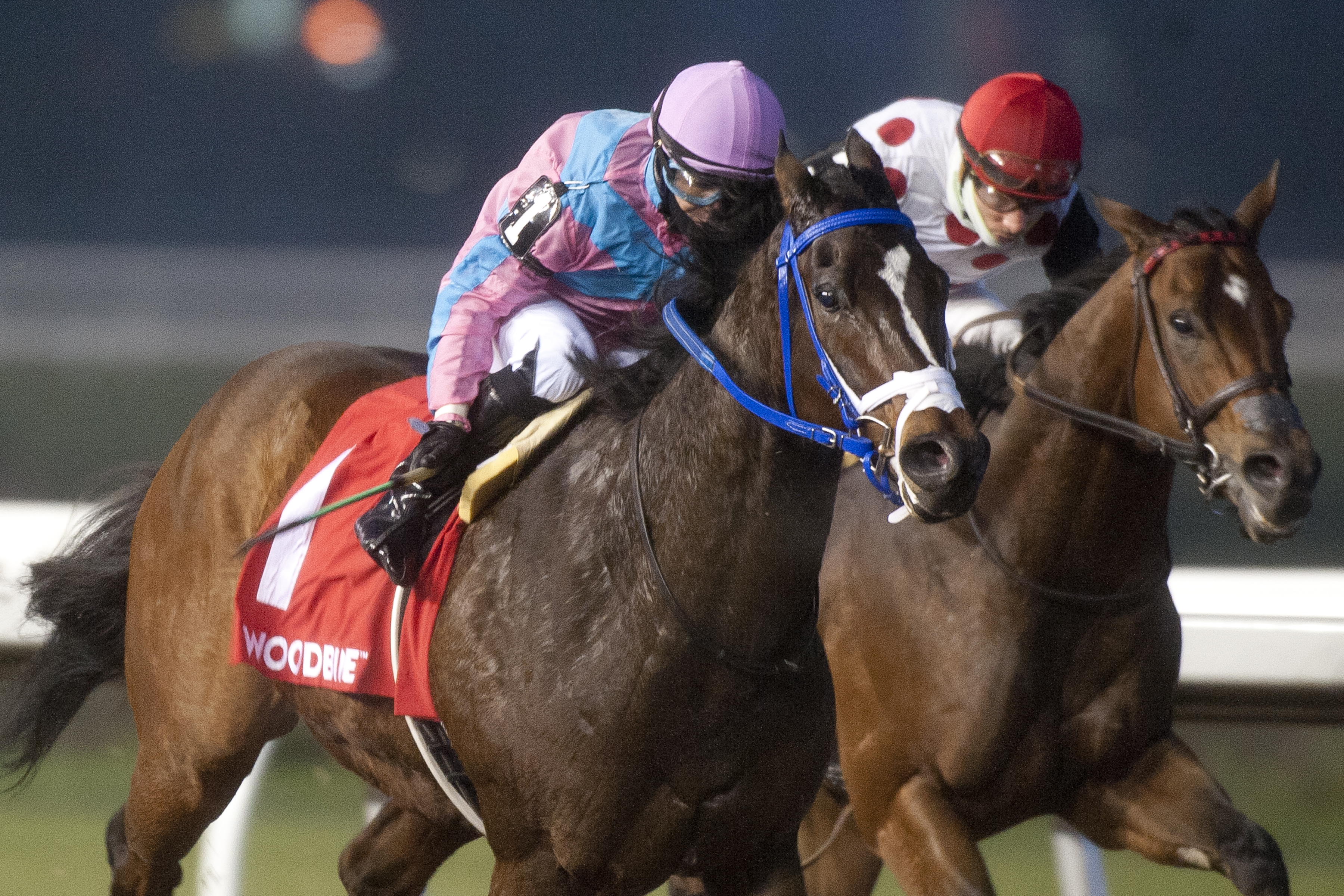 Ikerrin Road wins the 2018 Kennedy Road Stakes