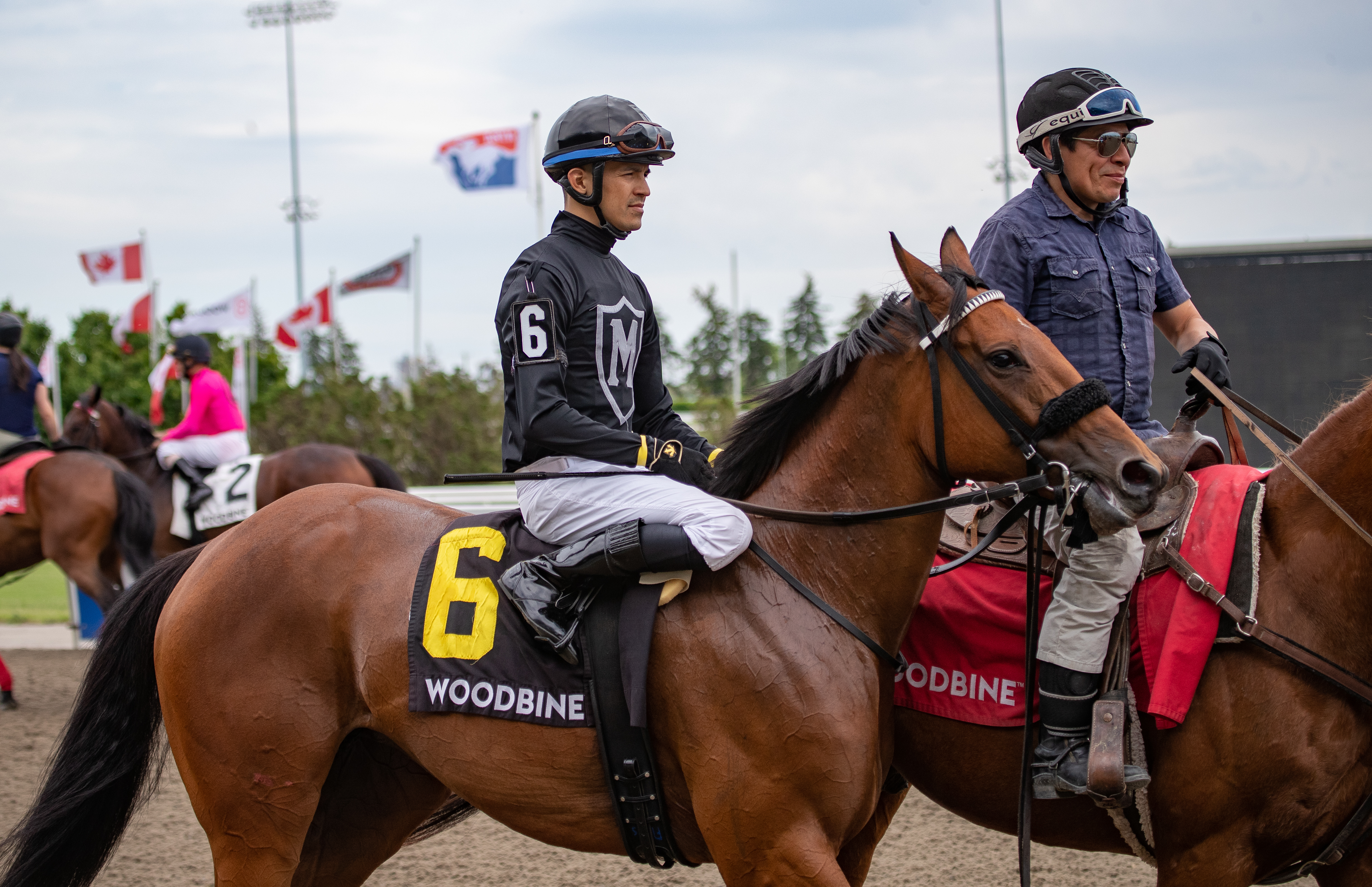 Il Malocchio on June 5 2022 at Woodbine