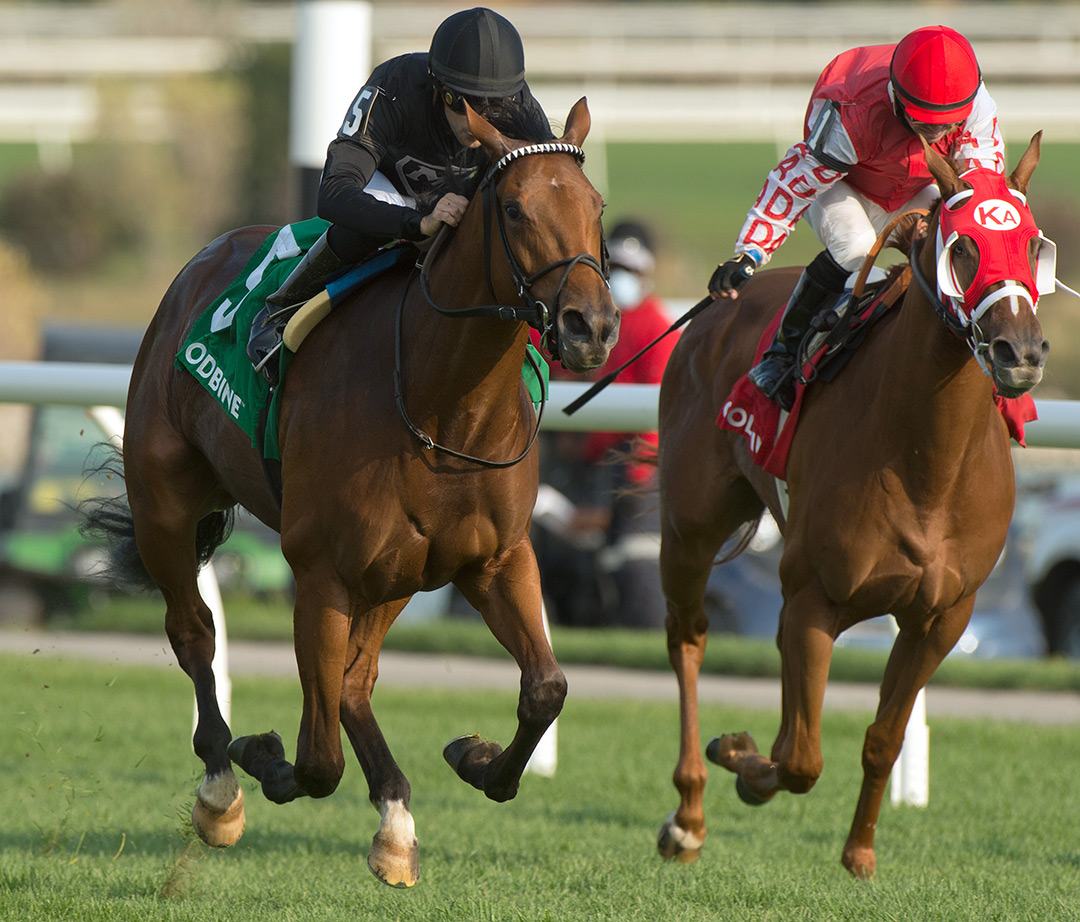 Sunsprite (right) finishes second in the Victorian Queen Stakes at Woodbine