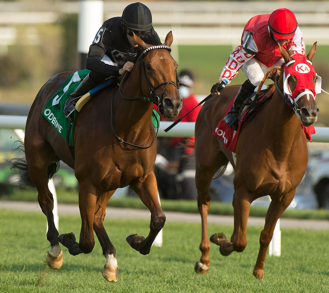 Sunsprite (right) finishes second in the Victorian Queen Stakes at Woodbine