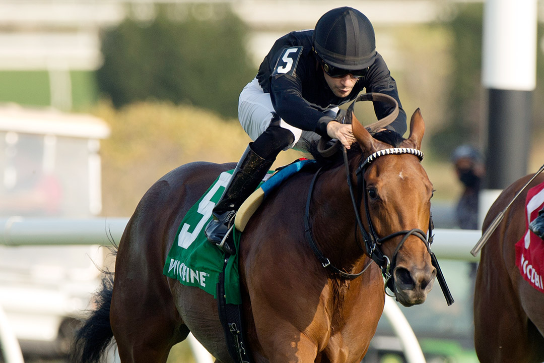 Il Malocchio wins the 2020 Victorian Queen Stakes at Woodbine