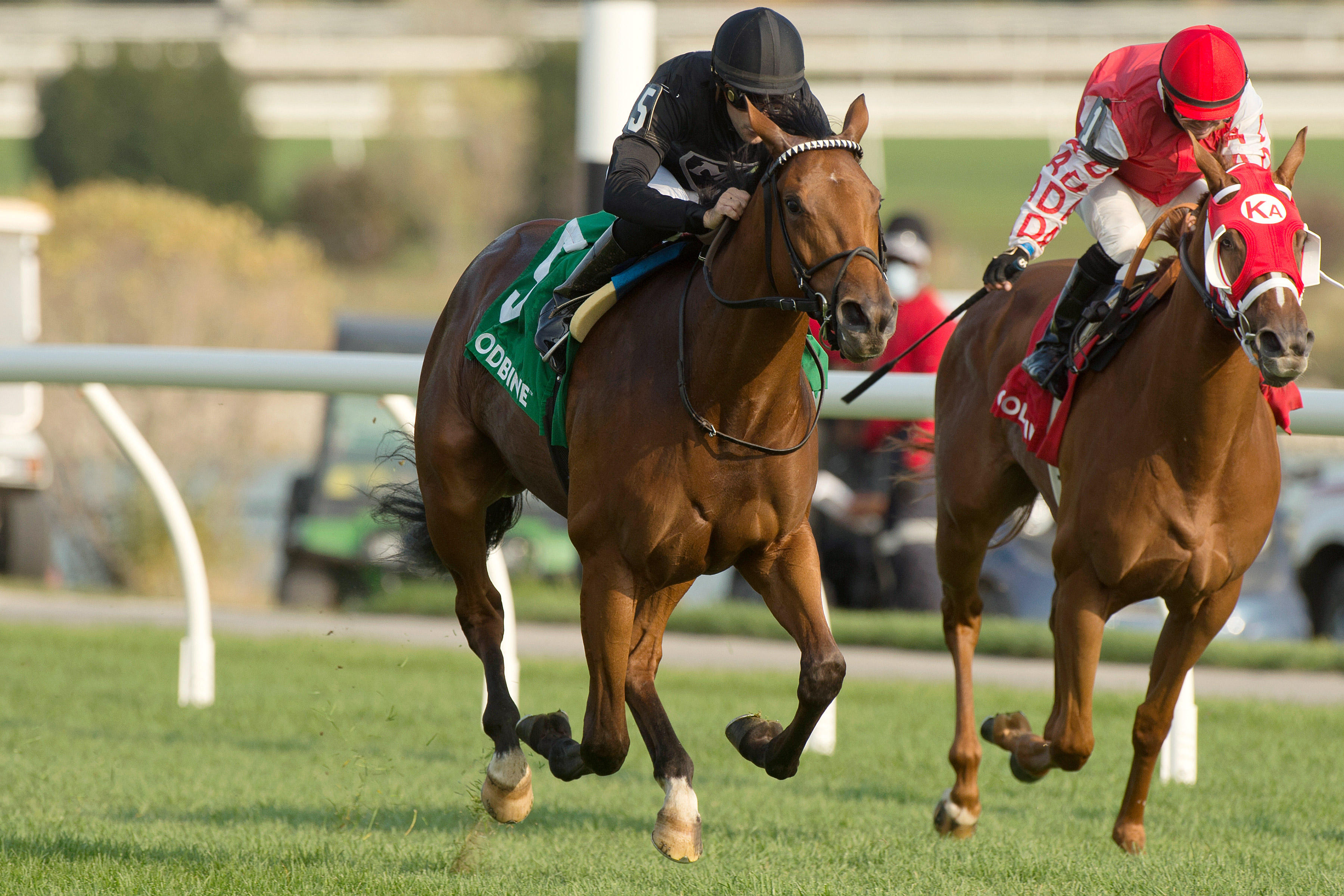 Il Malocchio wins the 2020 Victorian Queen Stakes at Woodbine