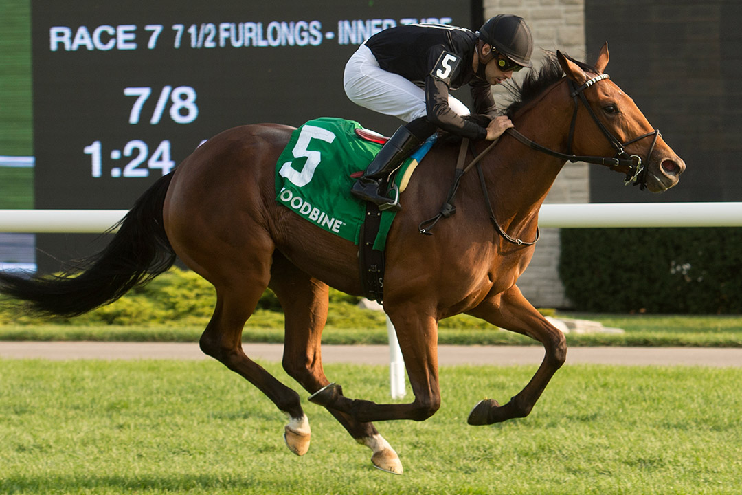 Il Malocchio wins the 2020 Victorian Queen Stakes at Woodbine
