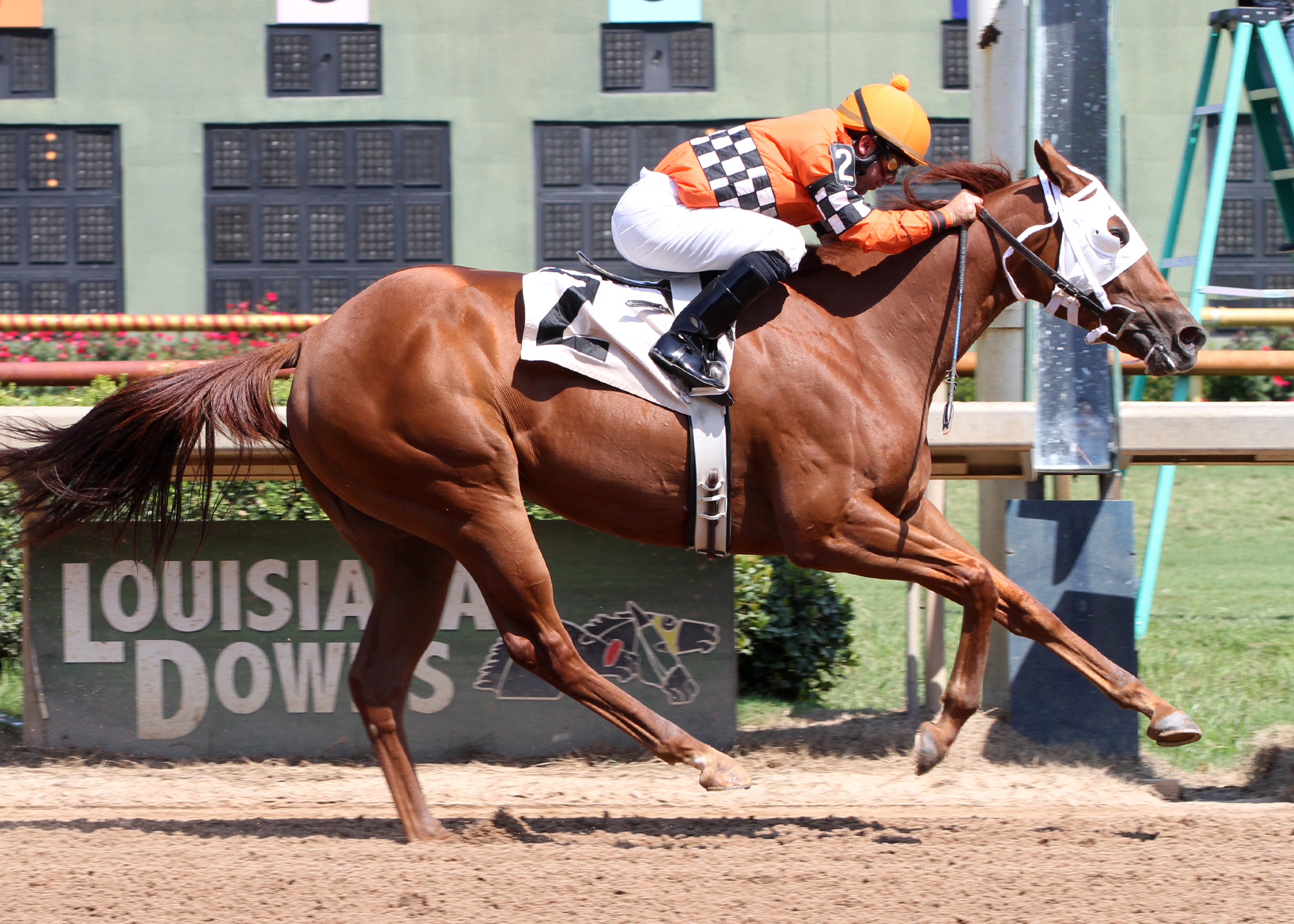 Ile St. Molly, Lady Razorback Futurity
