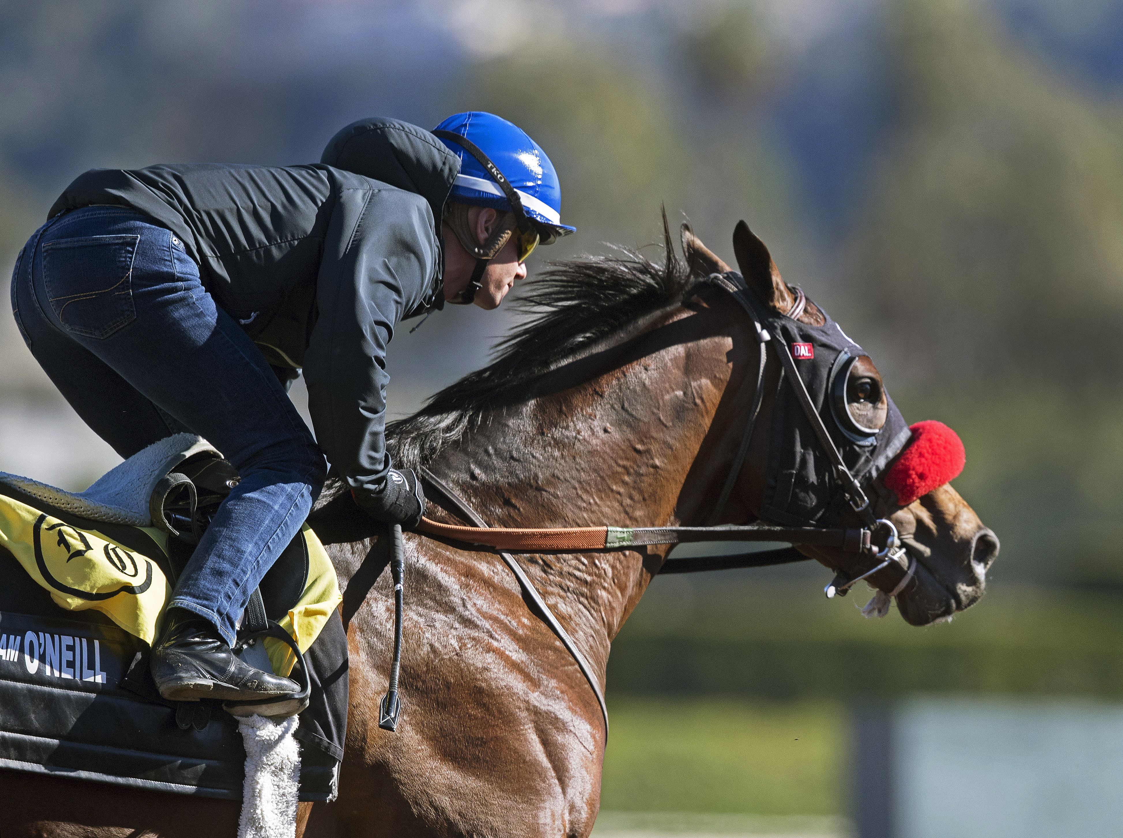 Iliad trains on March 3