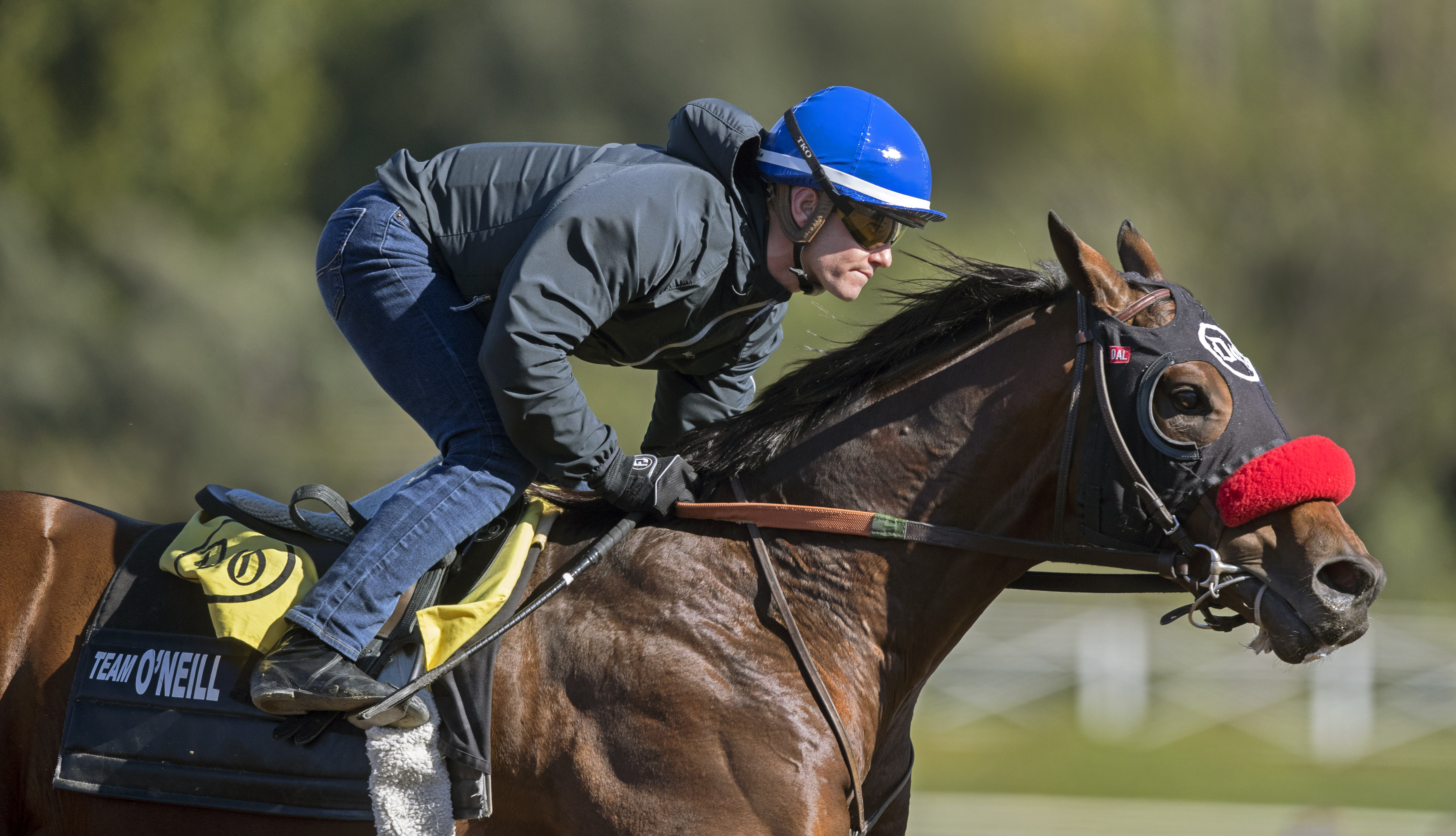 Iliad trains on March 3