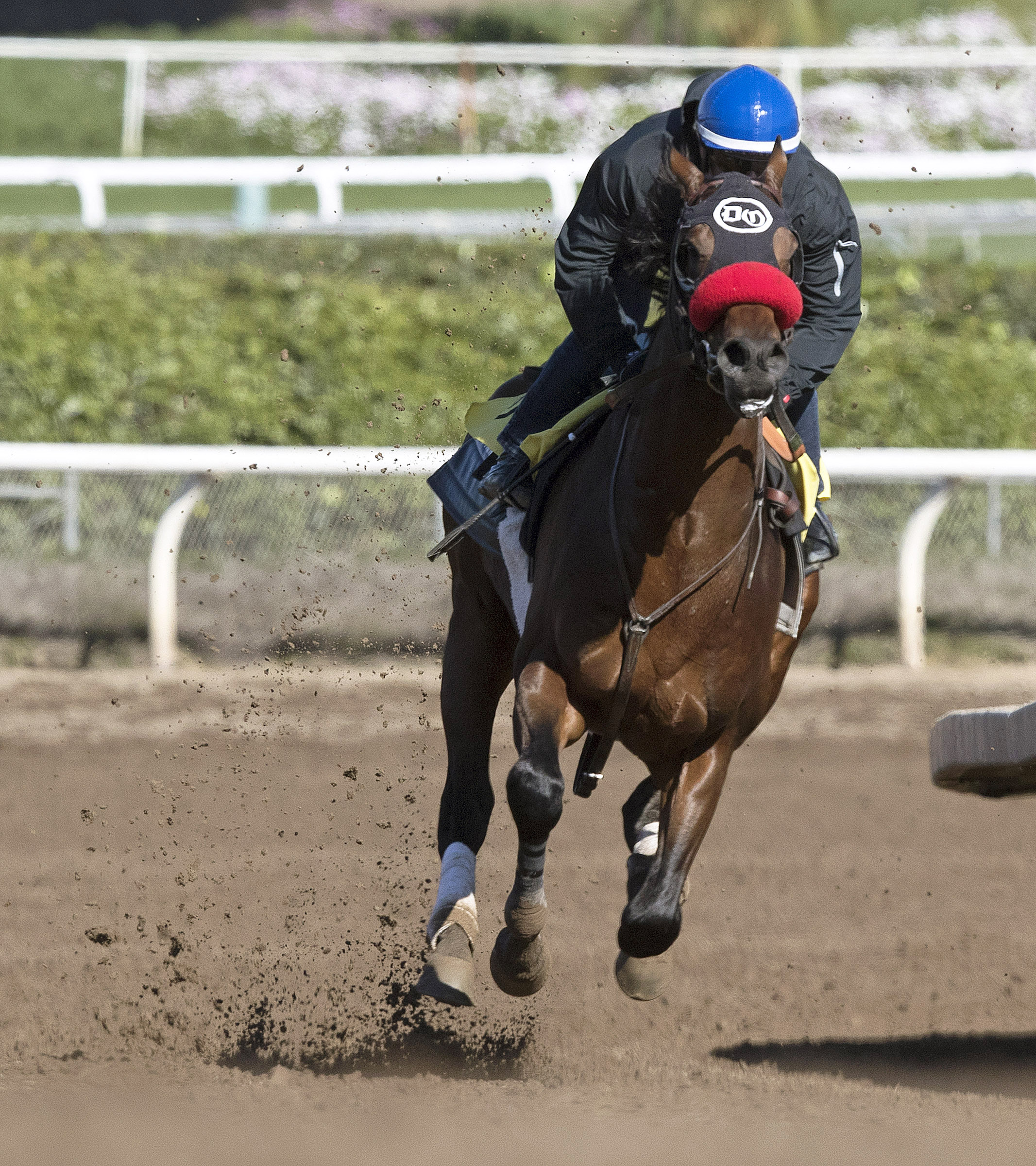 Iliad trains on March 3