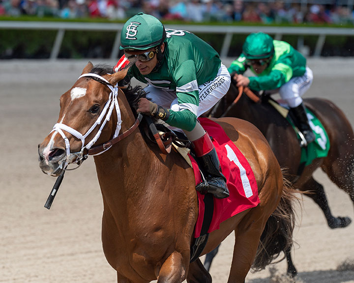 I'll Fight Dempsey wins a Feb. 29 maiden race at Gulfstream Park