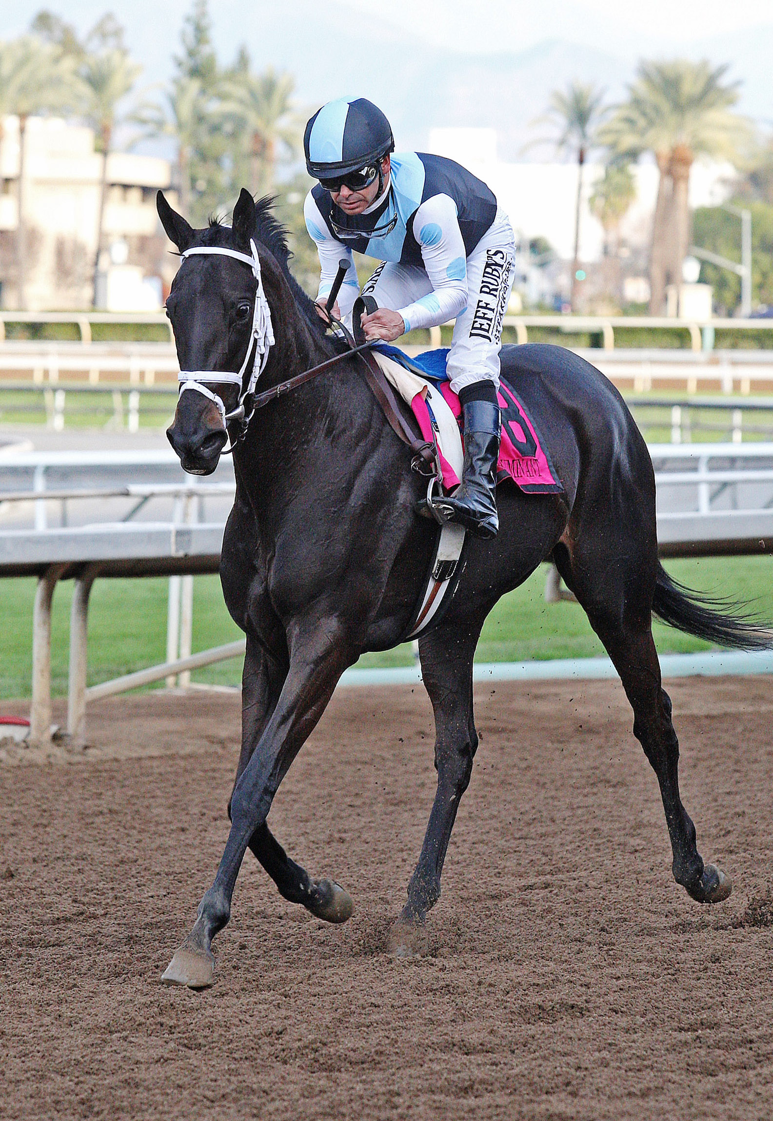 Illuminant at the Monrovia Stakes