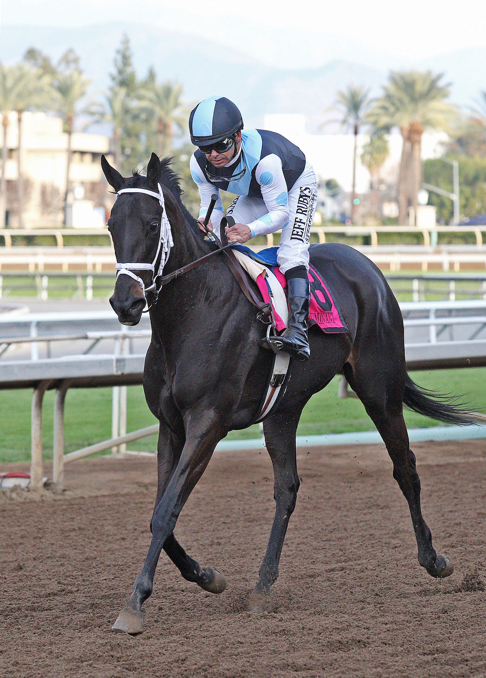 Illuminant at the Monrovia Stakes