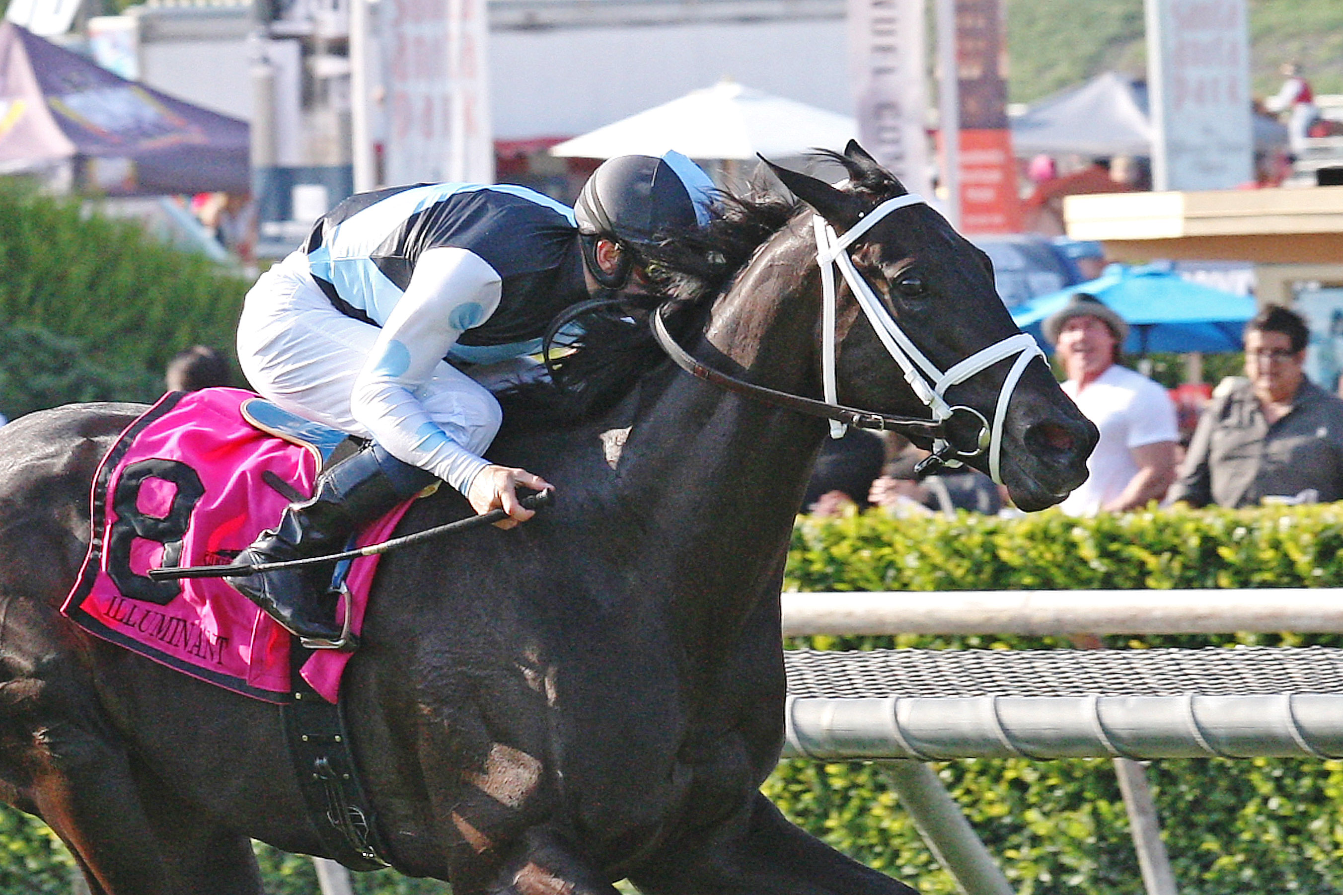 Illuminant wins the Gamely Stakes