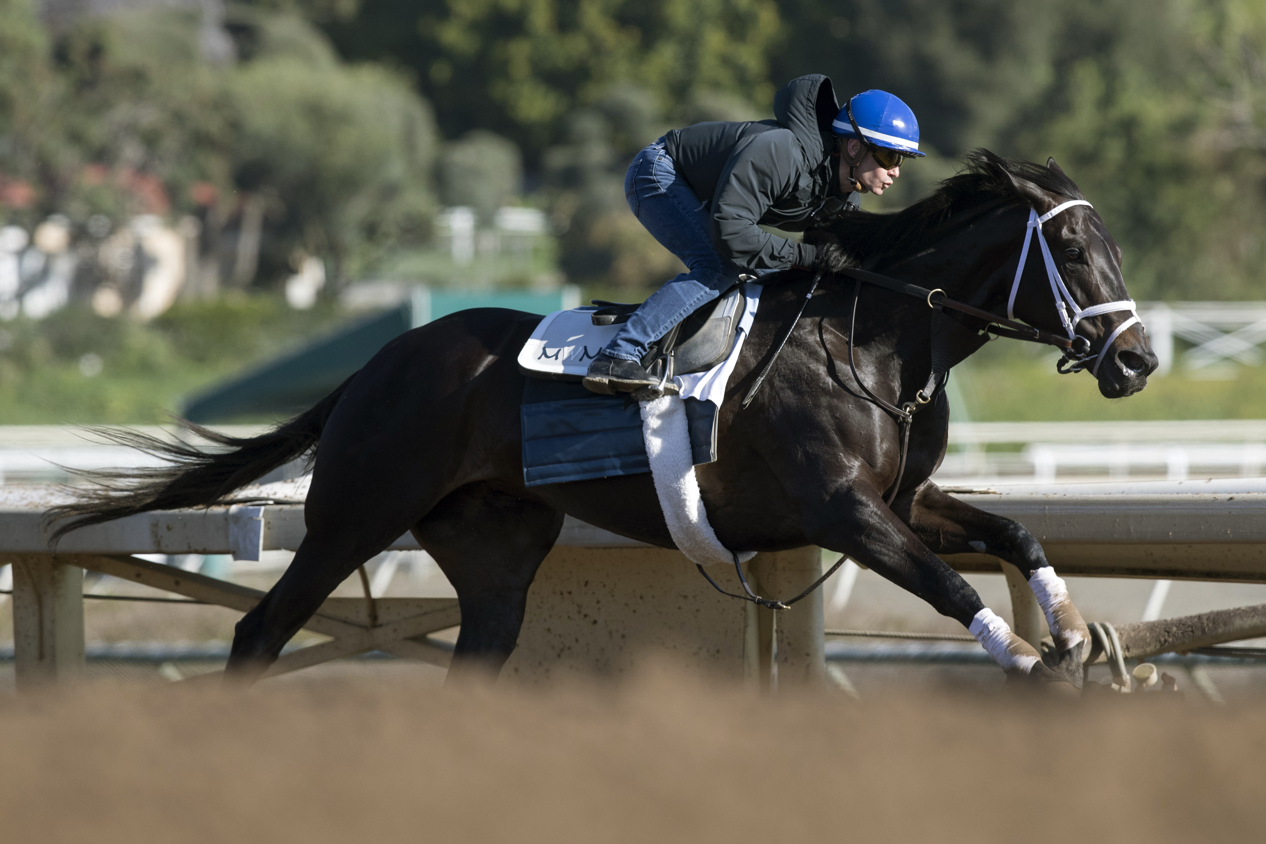 Illuminant trains at Santa Anita Park on Feb. 12