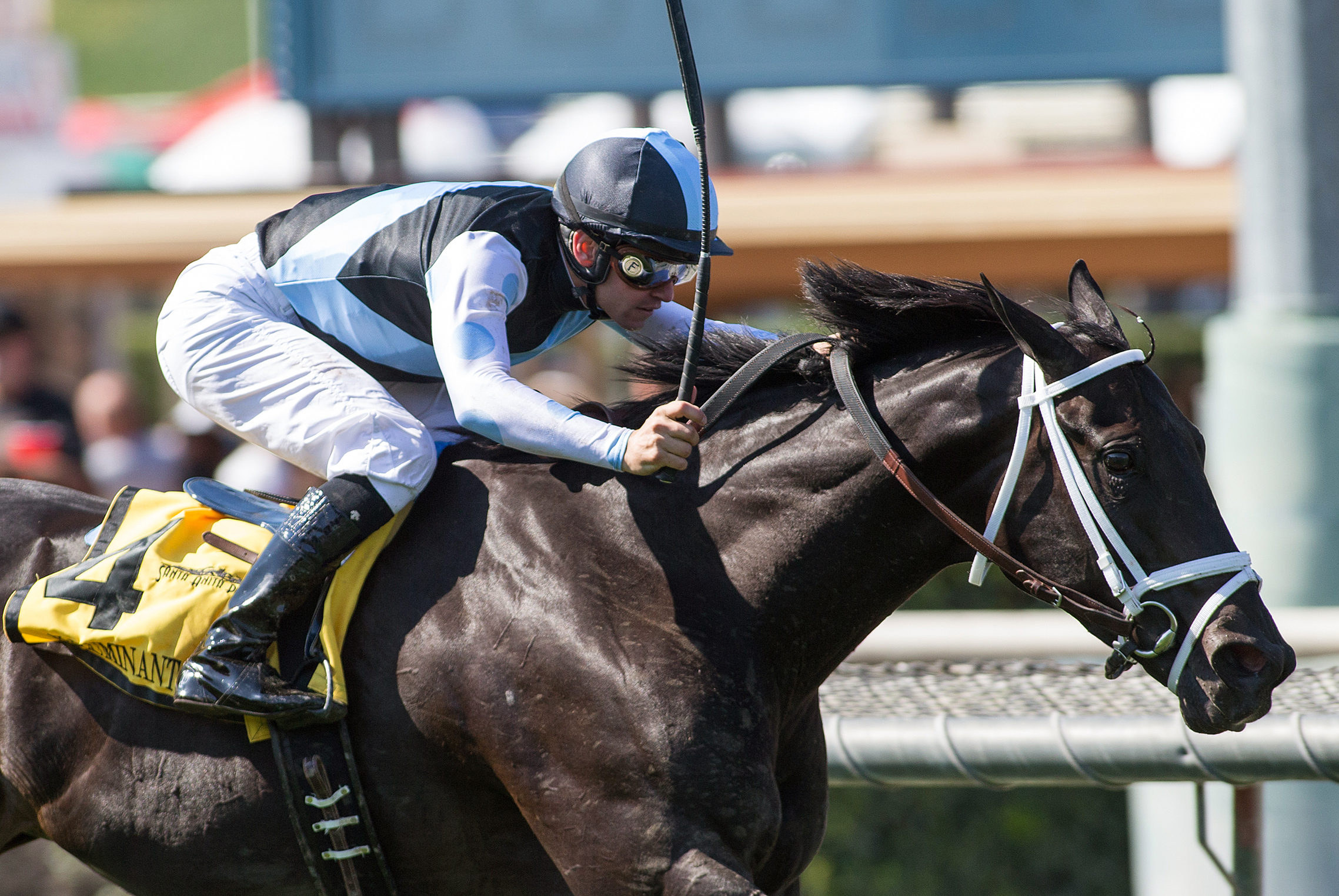 Illuminant wins the Monrovia Stakes