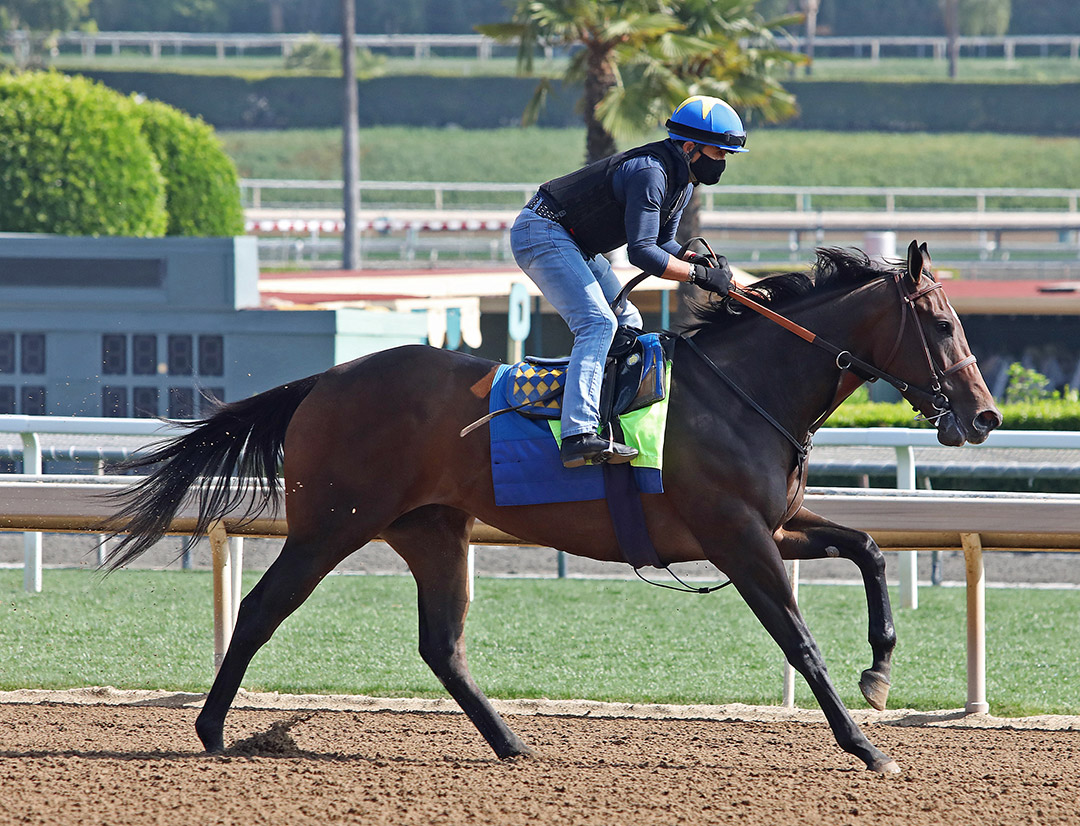 Illumination trains at Santa Anita on May 28