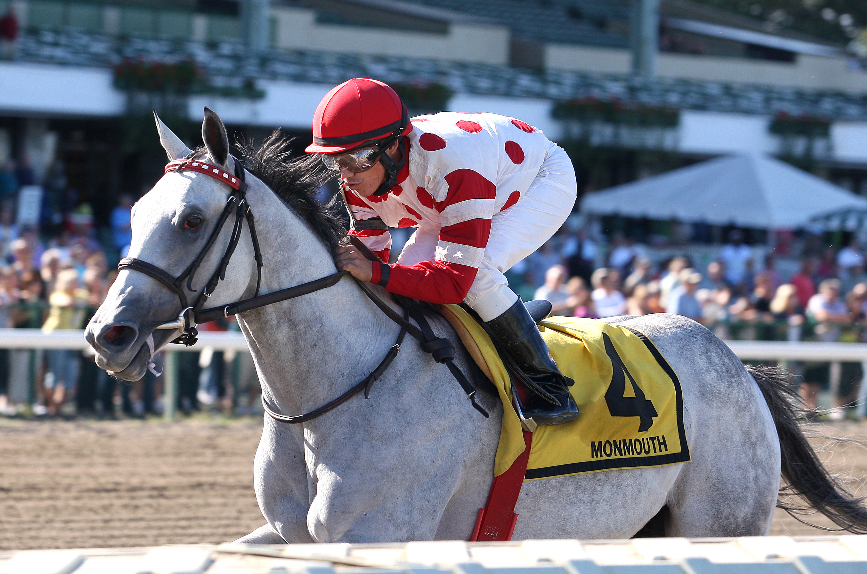 Ima Jersey Girl, Jersey Girl Stakes