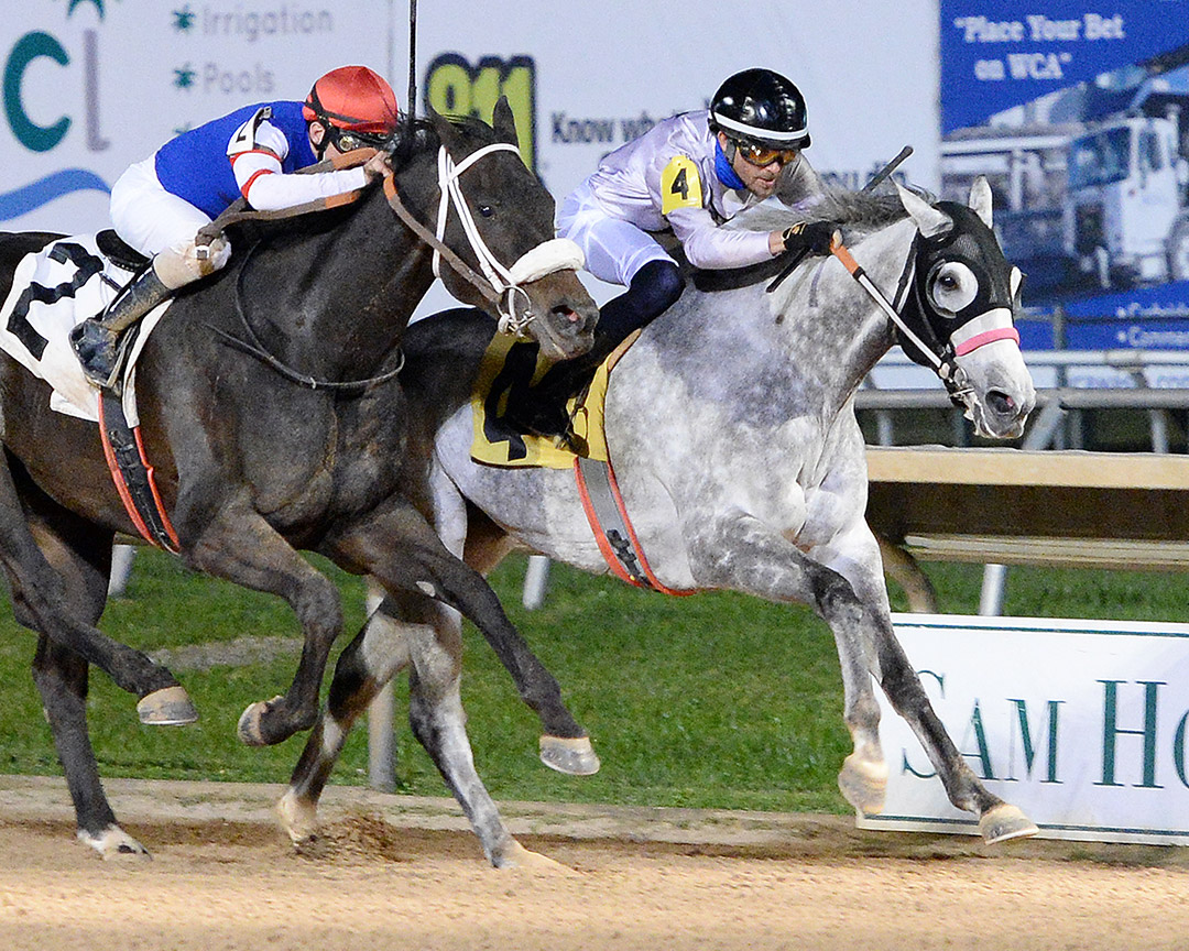 Ima Discreet Lady (right) wins the 2021 Yellow Rose Stakes at Sam Houston