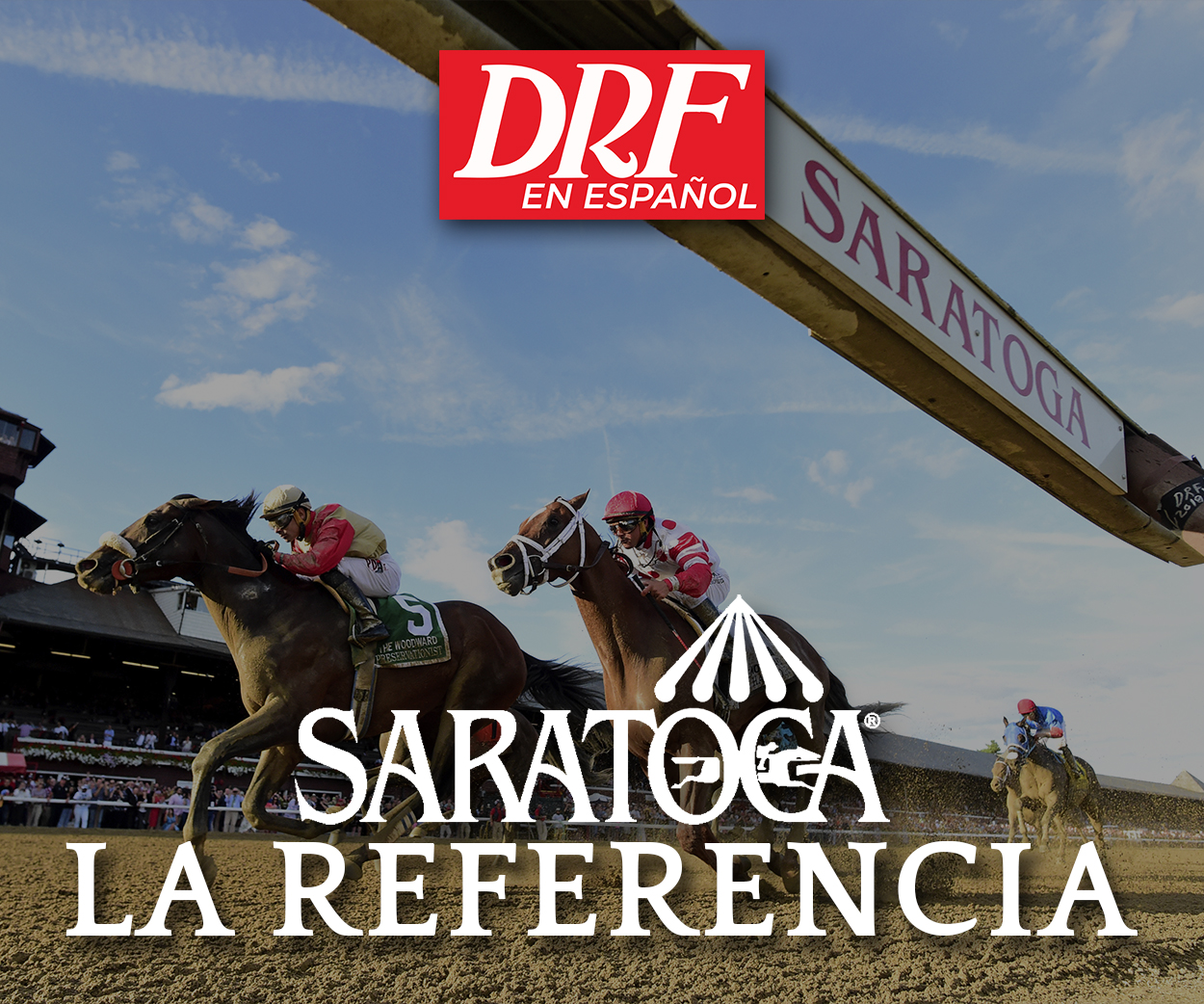 La Referencia - Saratoga
