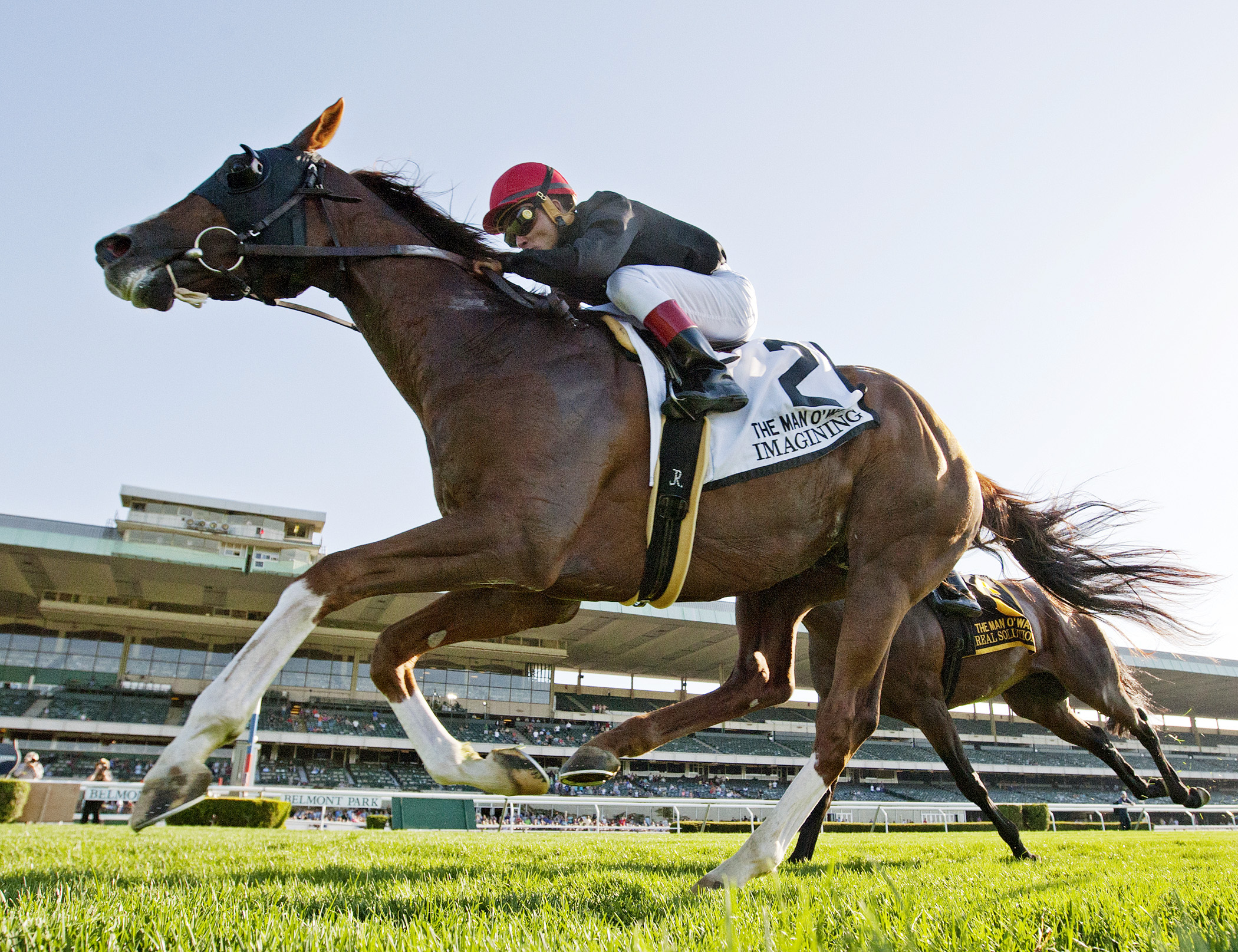 Imagining wins the Man o' War