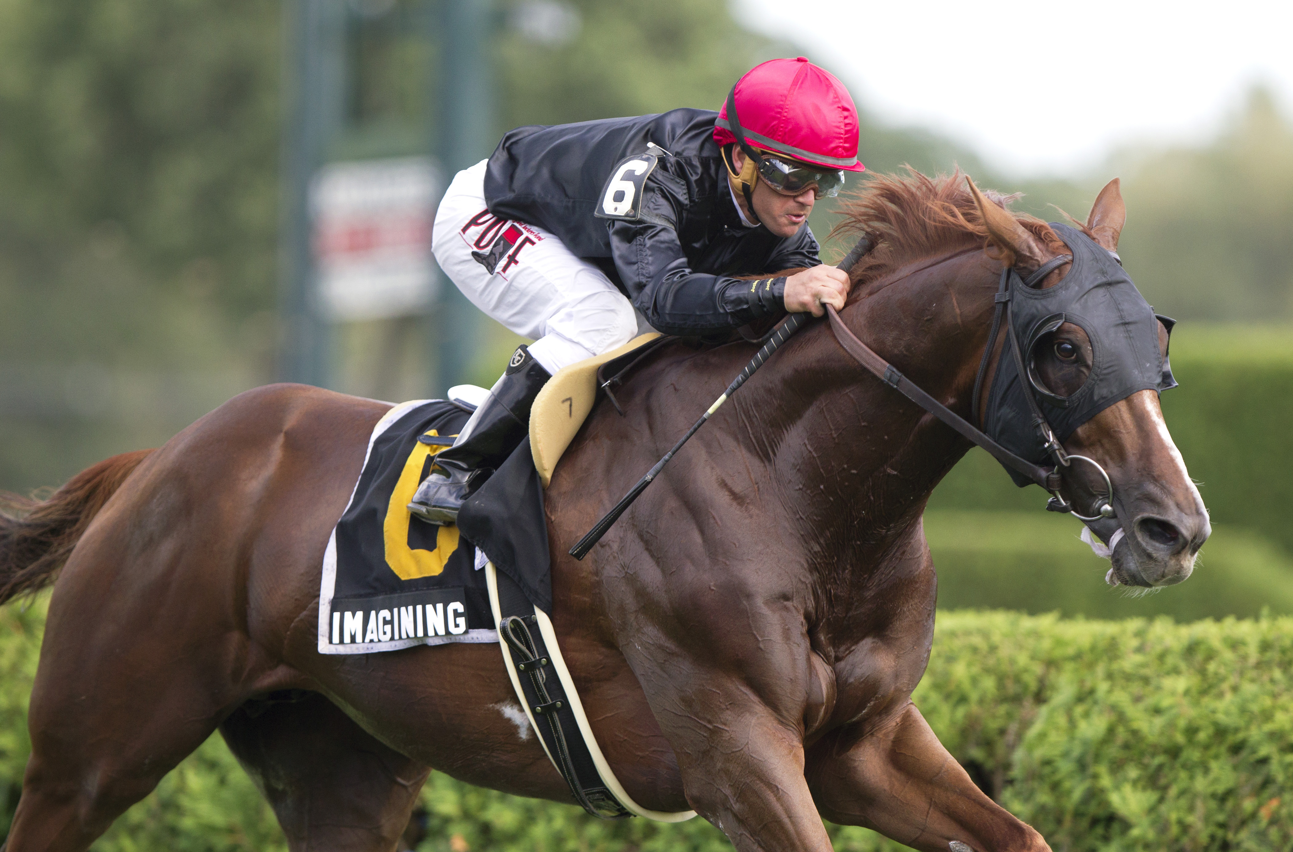 Imagining wins the Idle Rich Stakes