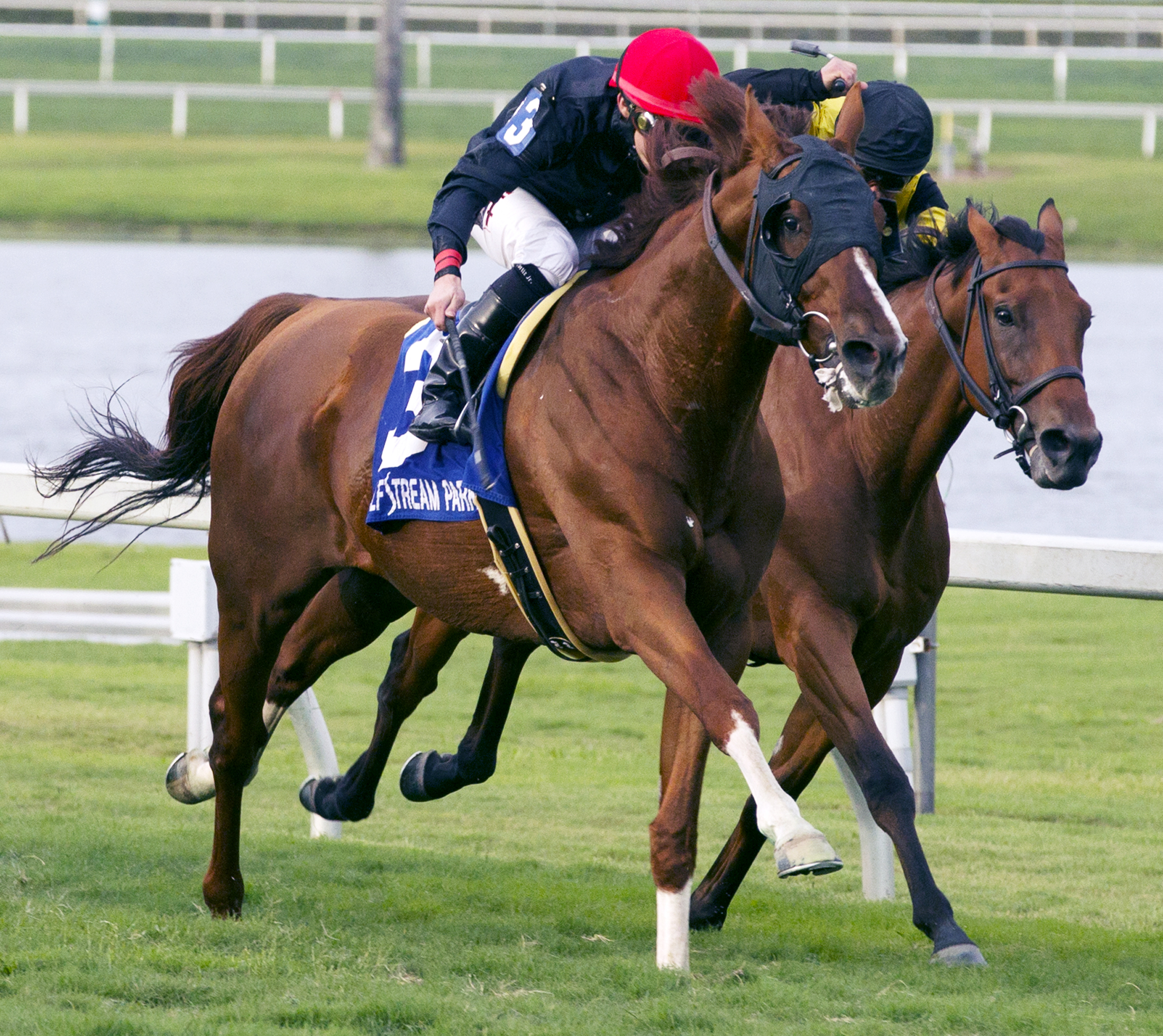 Imagining wins the Pan American