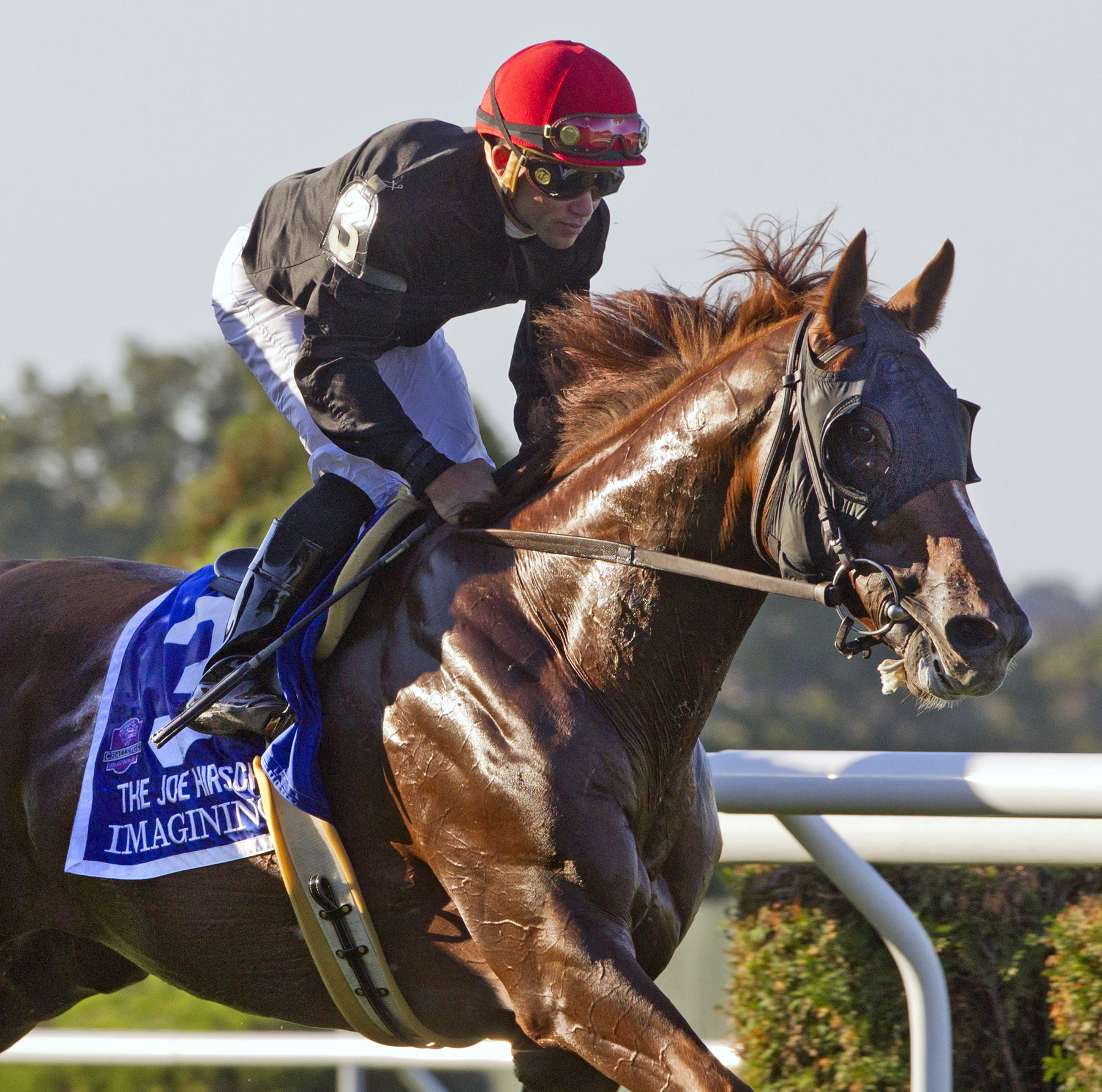 Imagining finishes third in the Joe Hirsch Turf Classic
