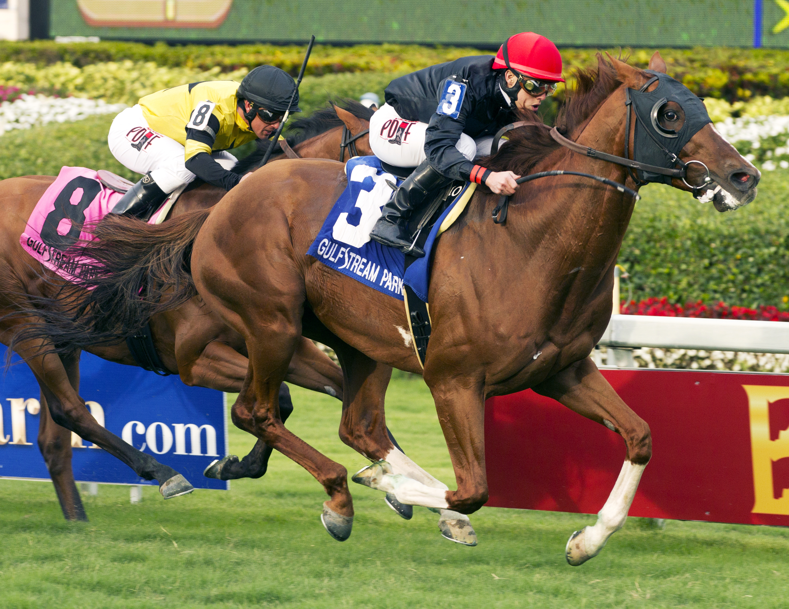 Imagining wins the Pan American