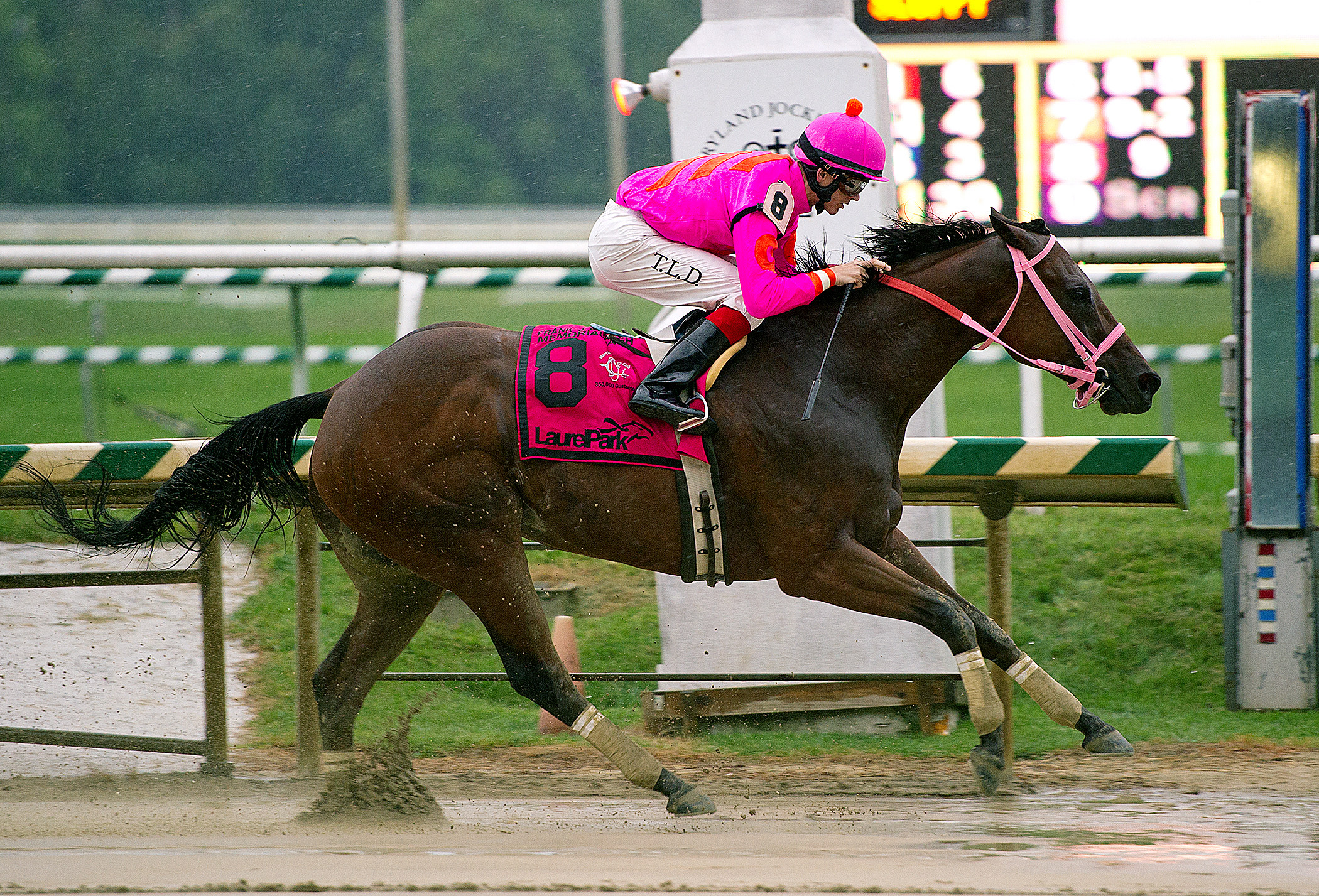 Immortal Eyes wins the DeFrancis Dash