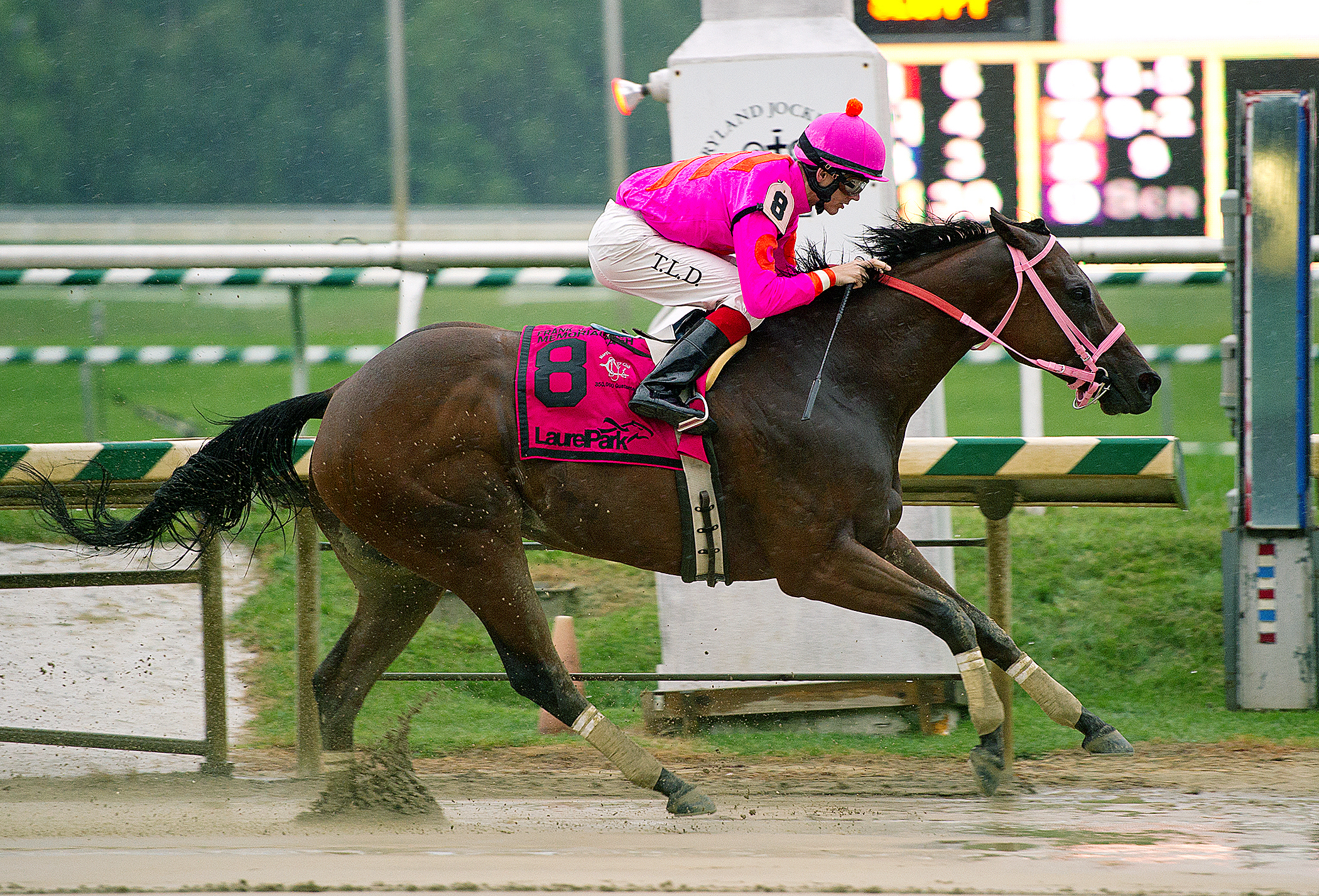 Immortal Eyes wins the Frank DeFrancis Memorial Dash