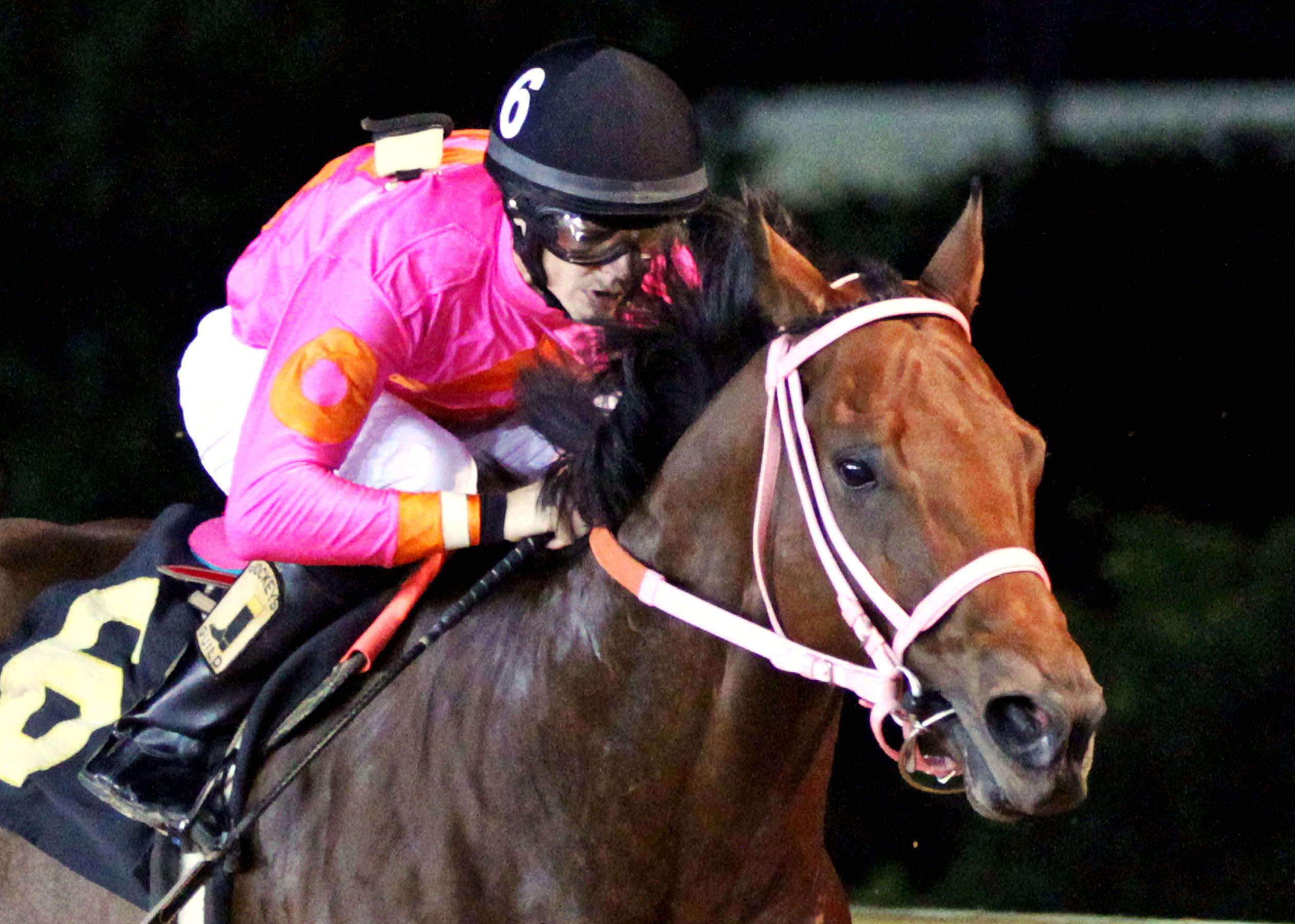 Immortal Eyes wins the 2013 Jefferson County Commission Stakes