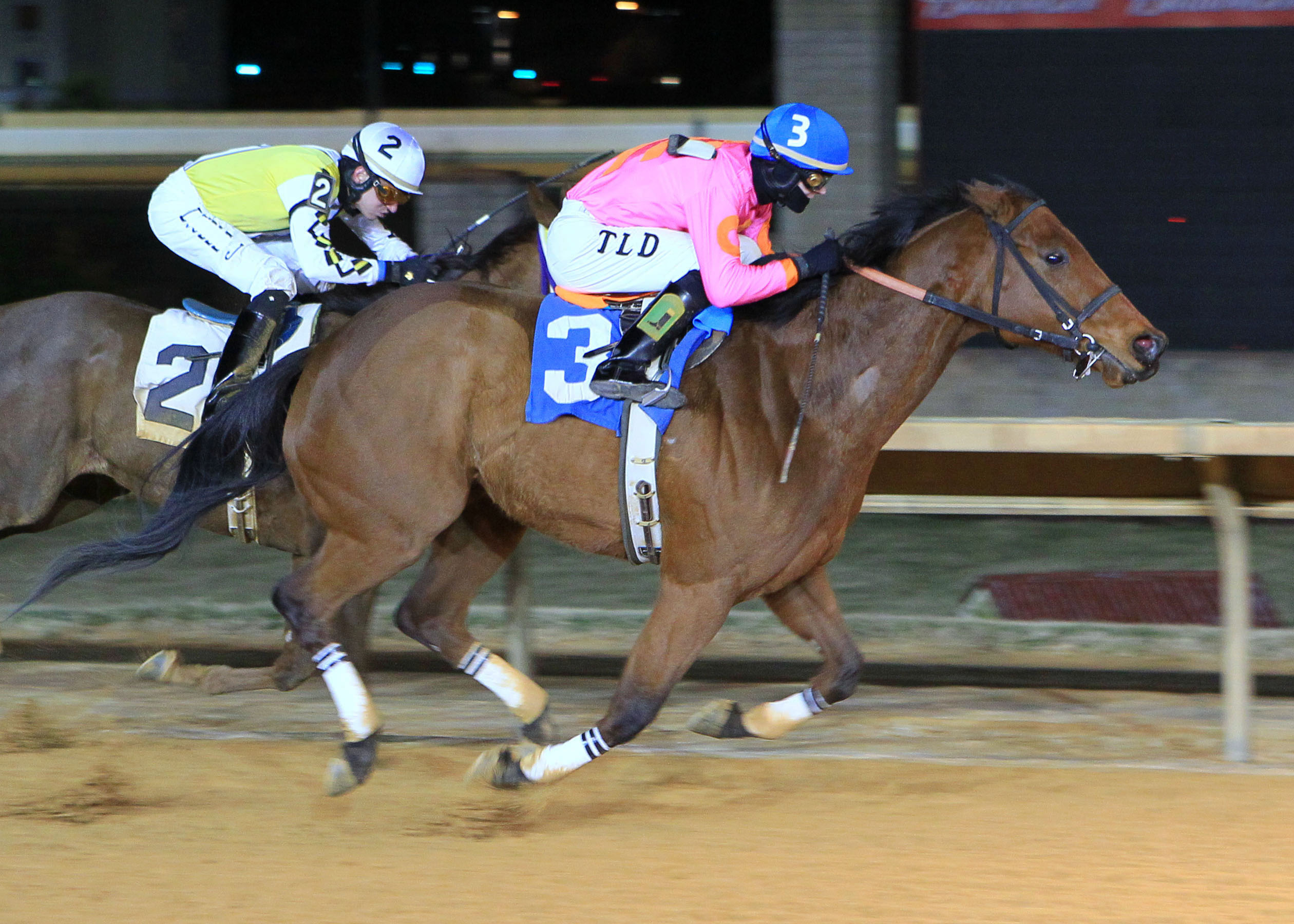 Immortal Eyes, Valentine's Day Handicap