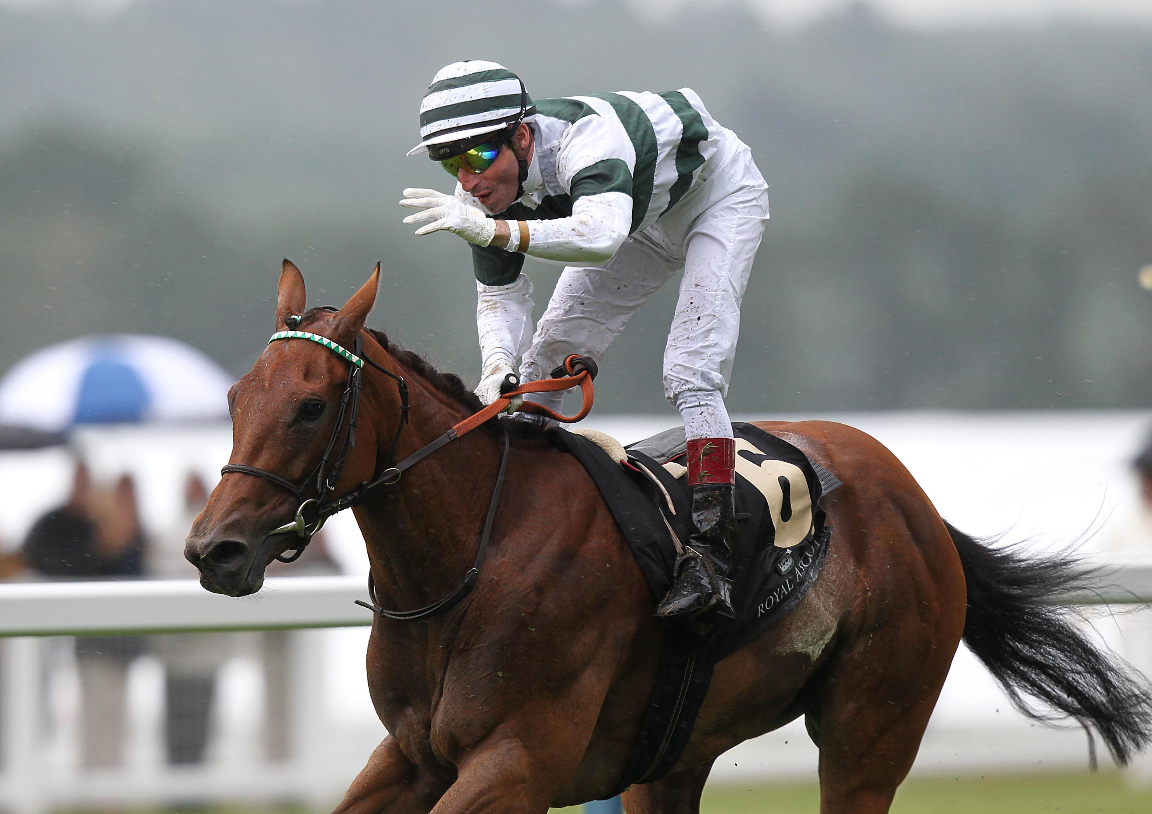 Immortal Verse wins Prix Jacques le Marois